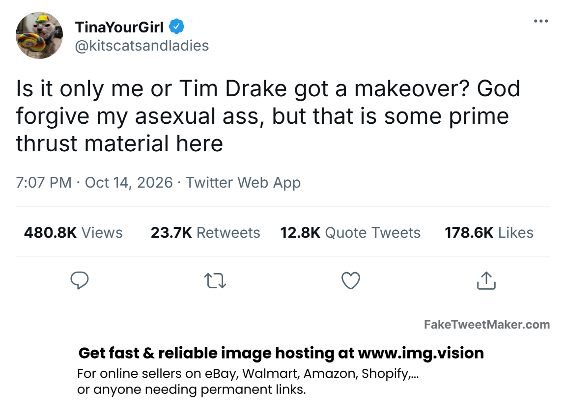 Fake Tweet "Is it me or Tim Drake got a makeover? God forgive my asexual ass, but there is some prime thrust material here