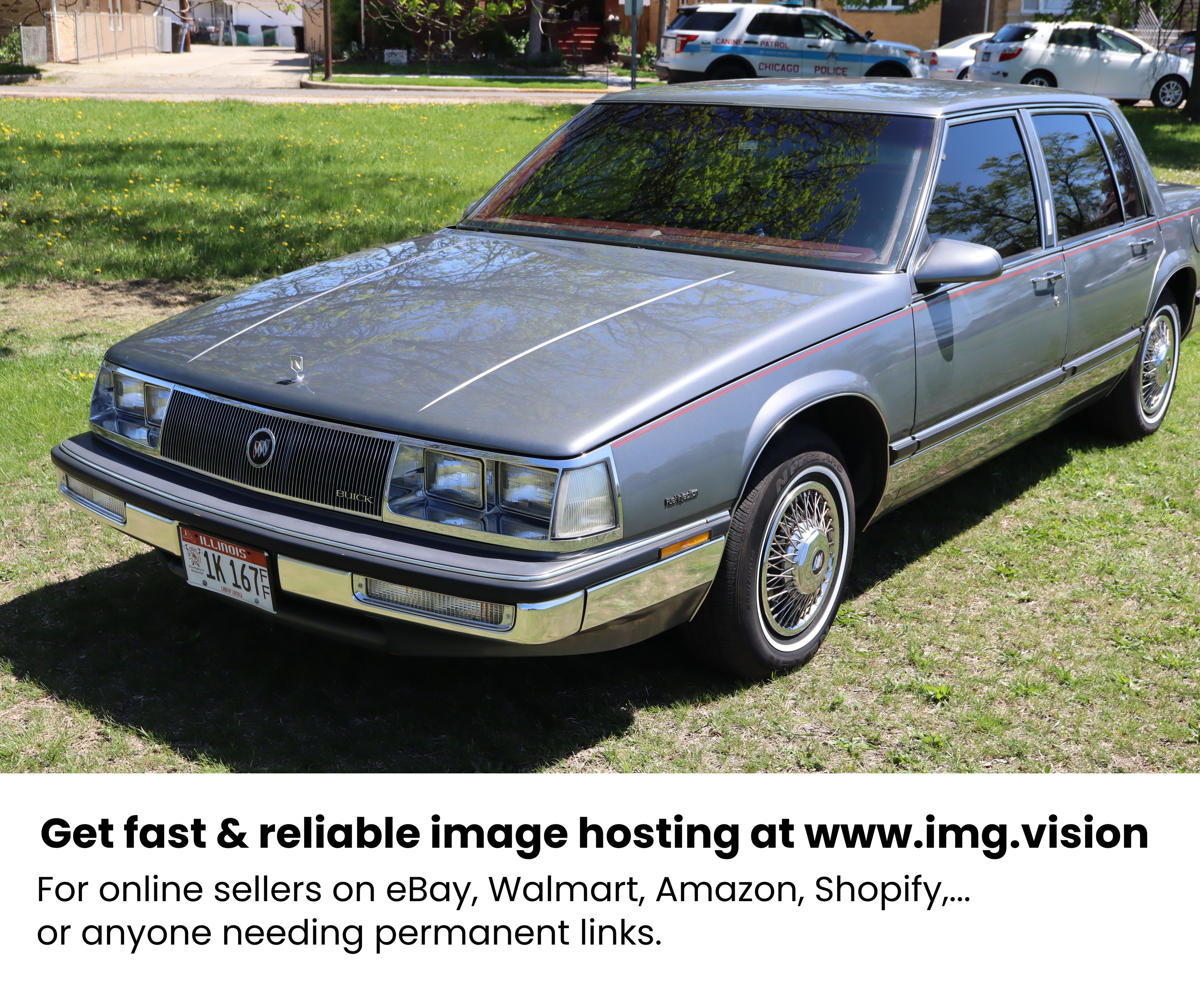 Image hosting by Img.vision