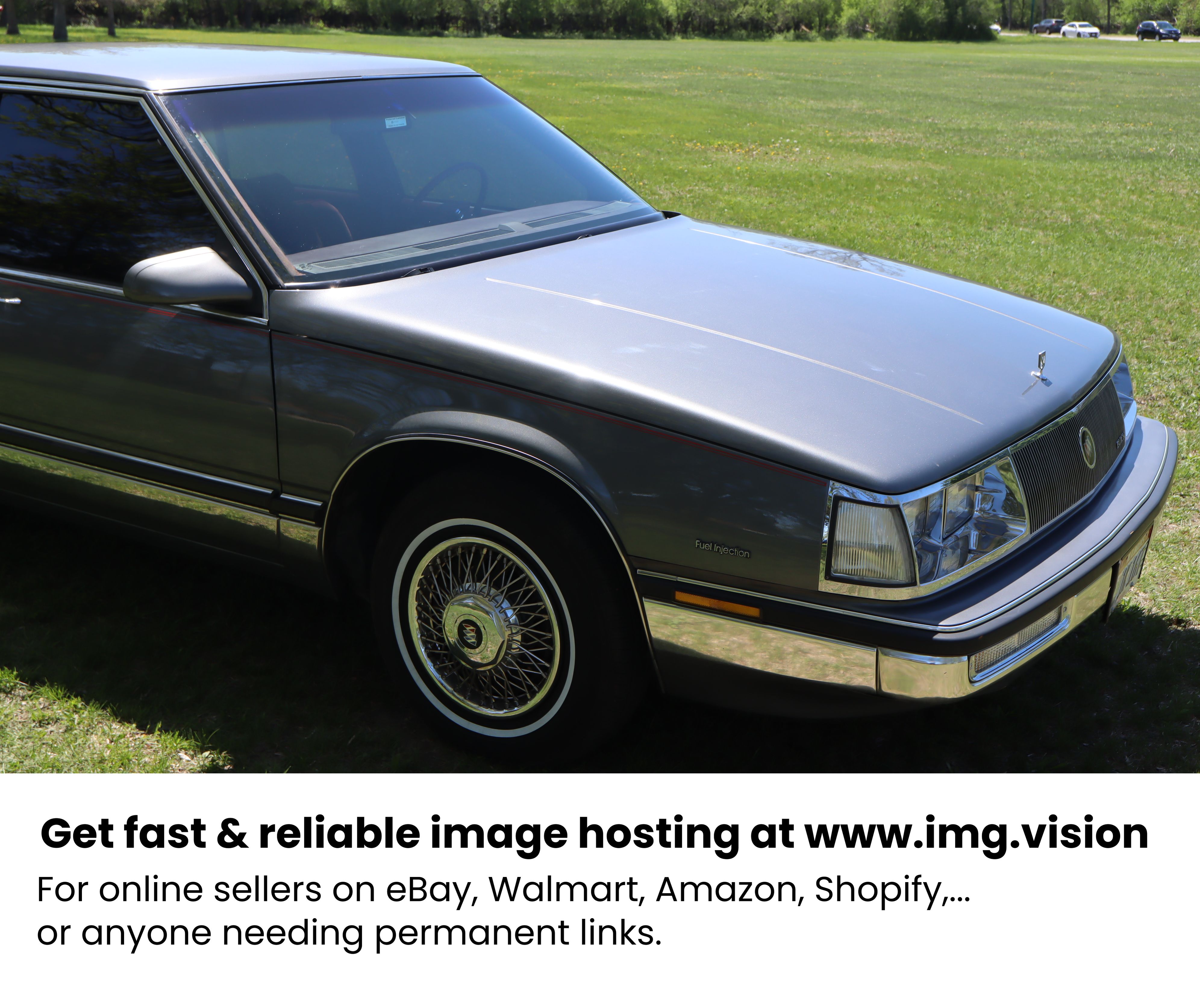 Image hosting by Img.vision