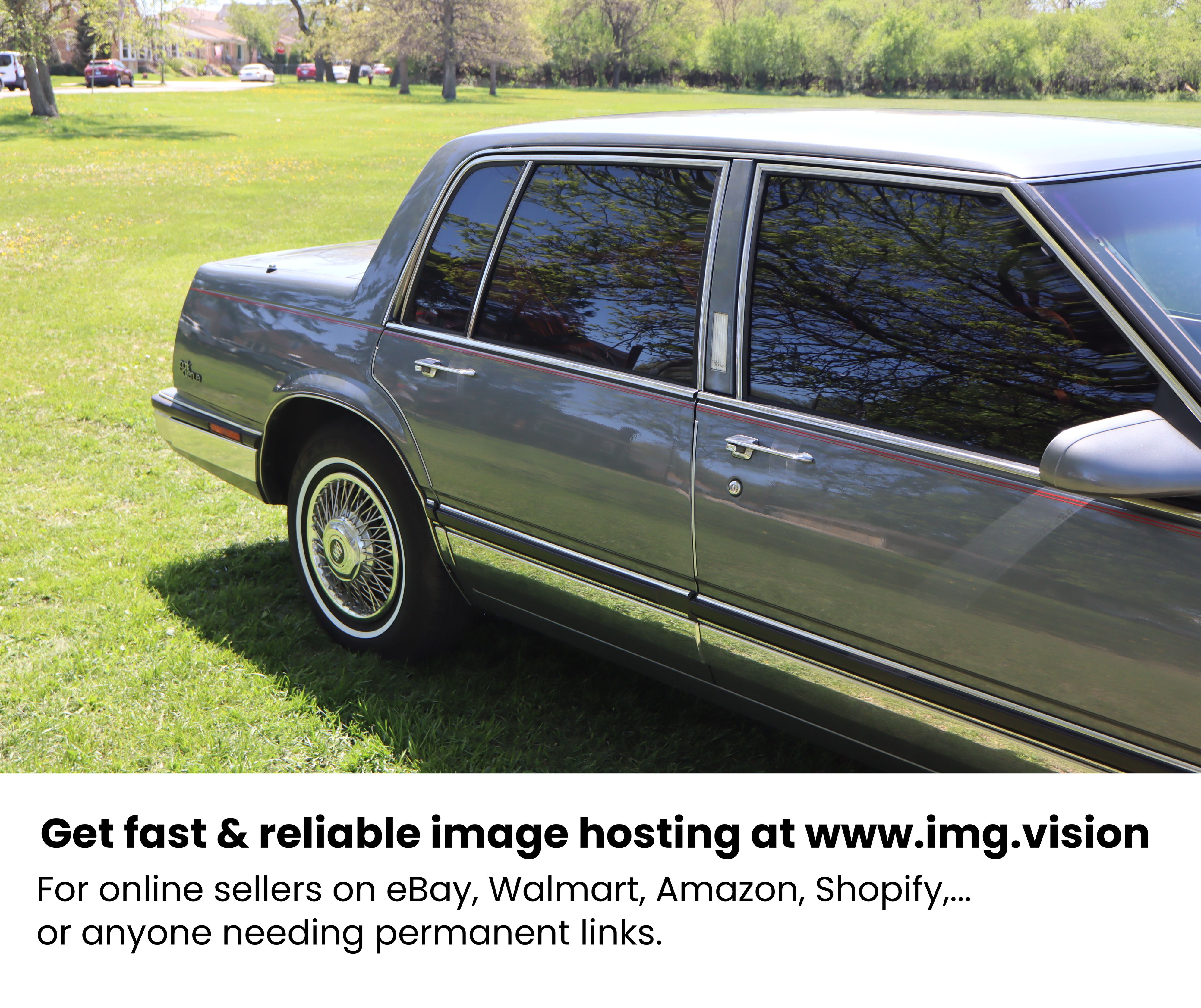 Image hosting by Img.vision