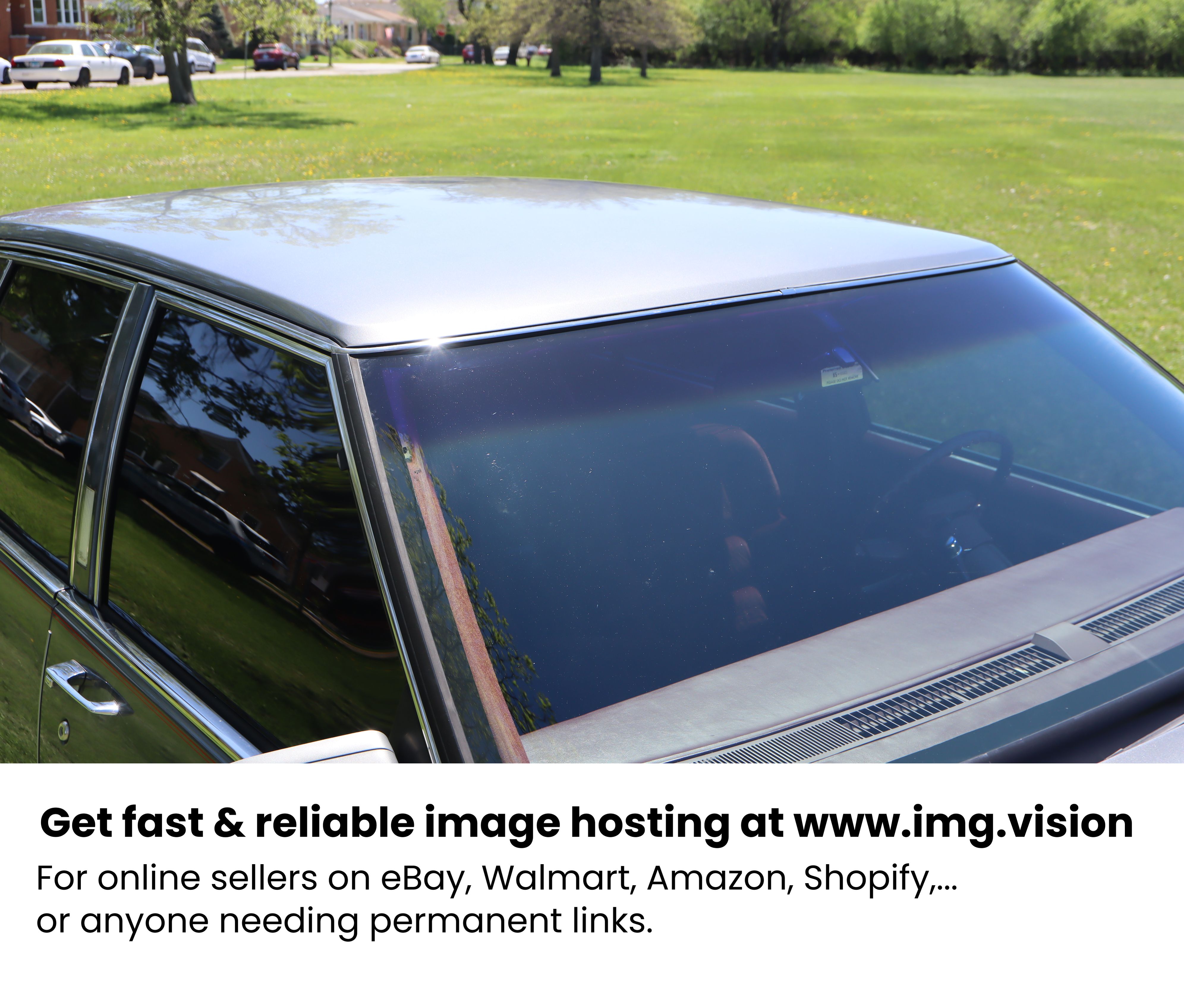 Image hosting by Img.vision