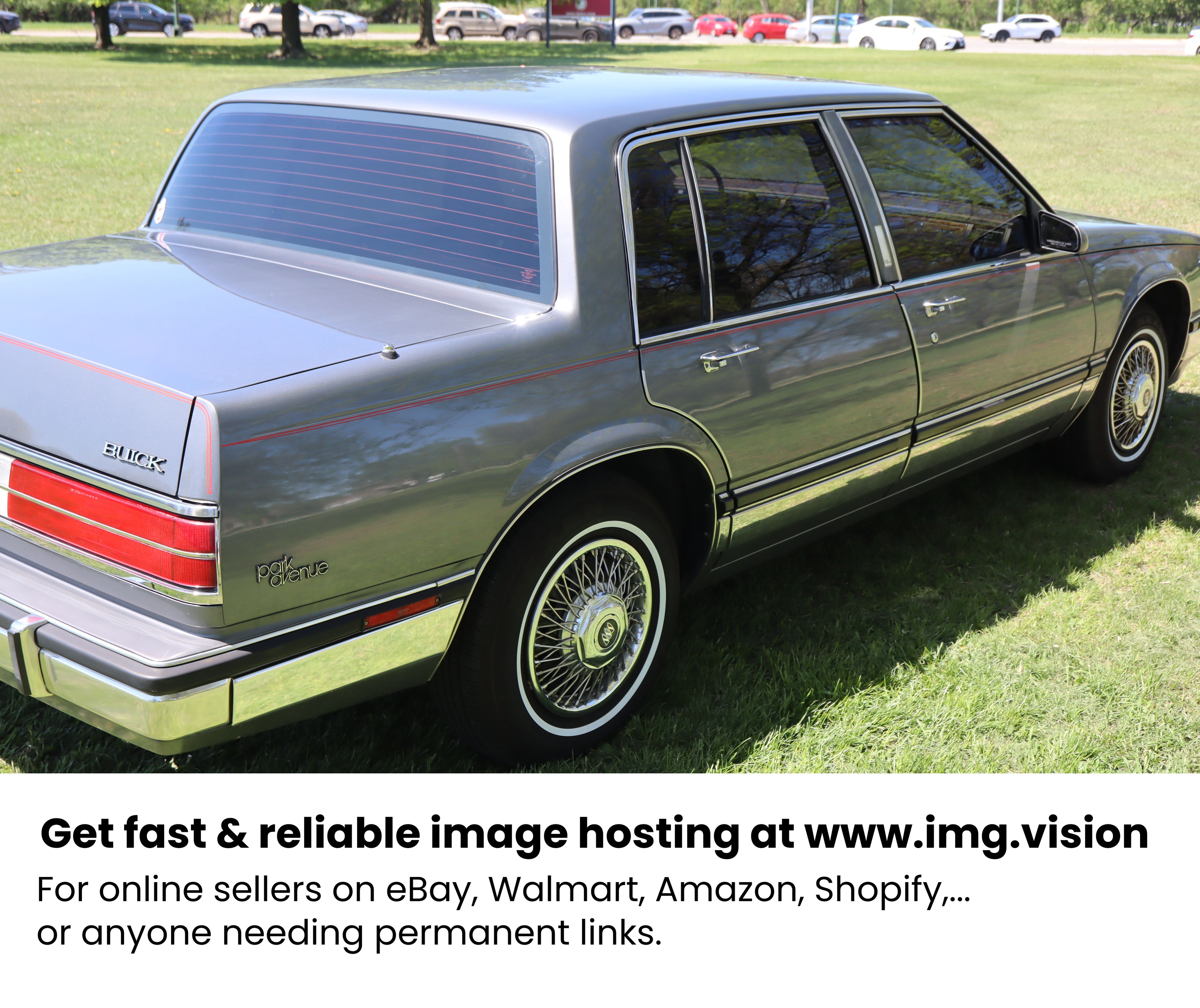 Image hosting by Img.vision
