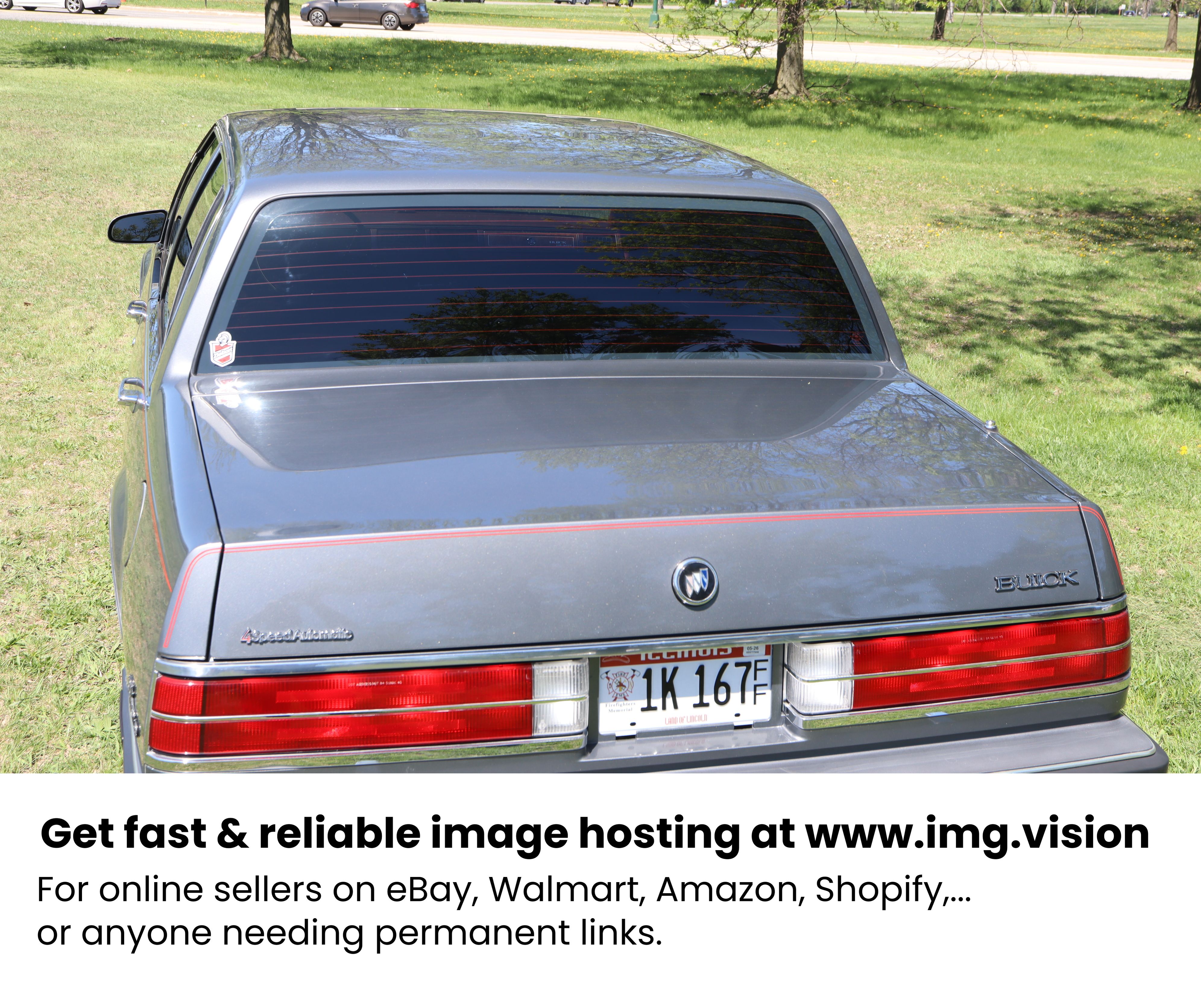 Image hosting by Img.vision