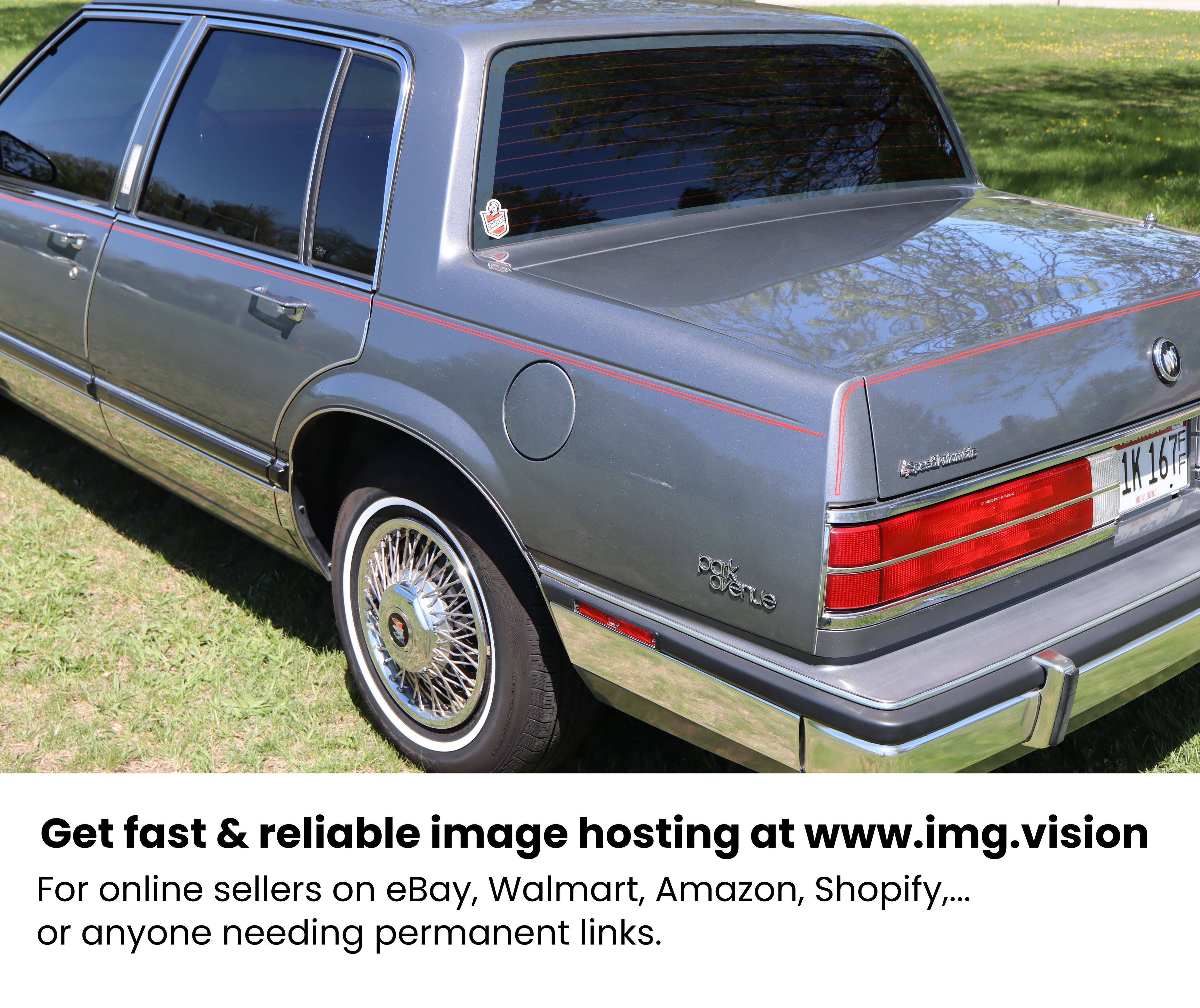 Image hosting by Img.vision