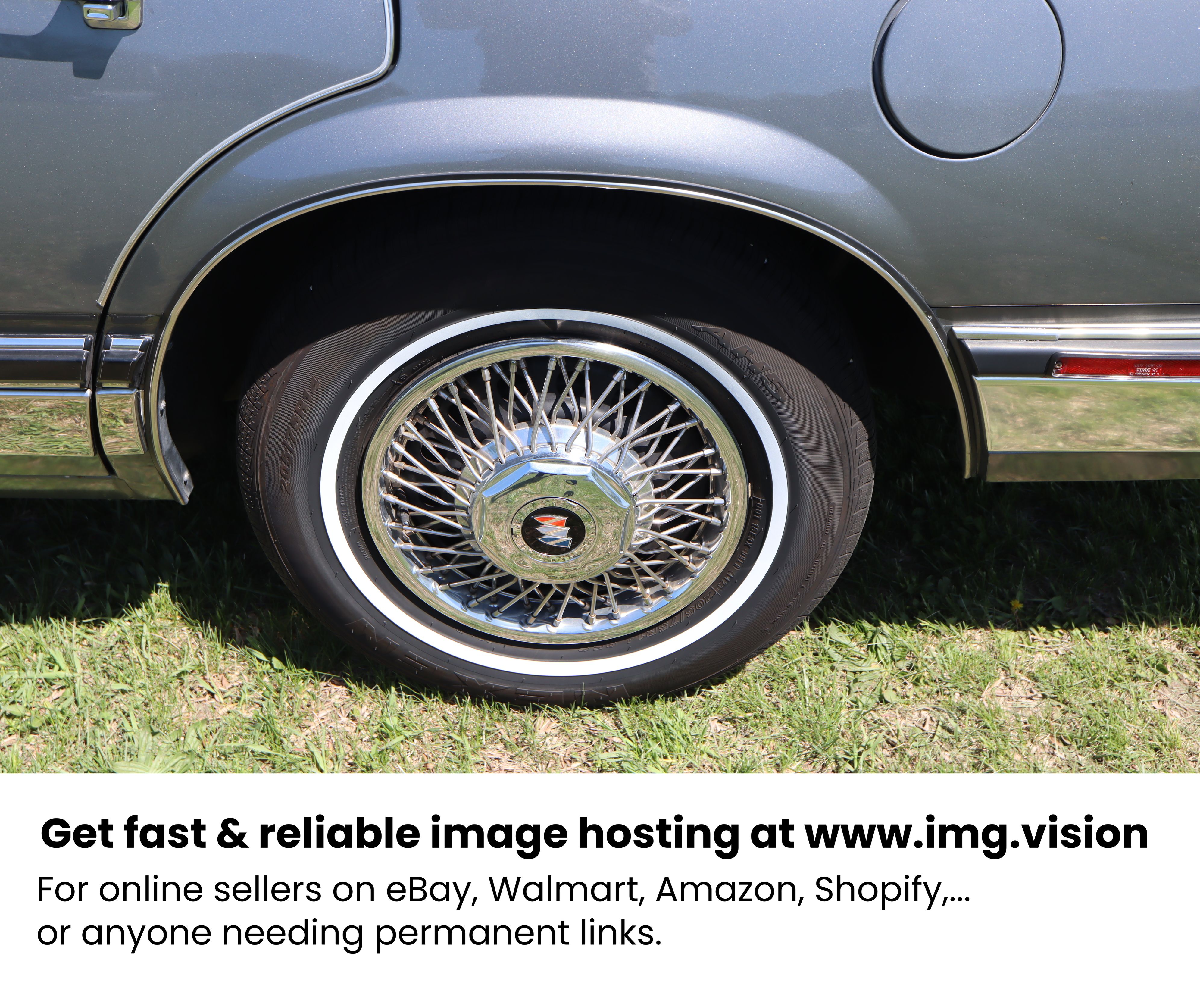 Image hosting by Img.vision