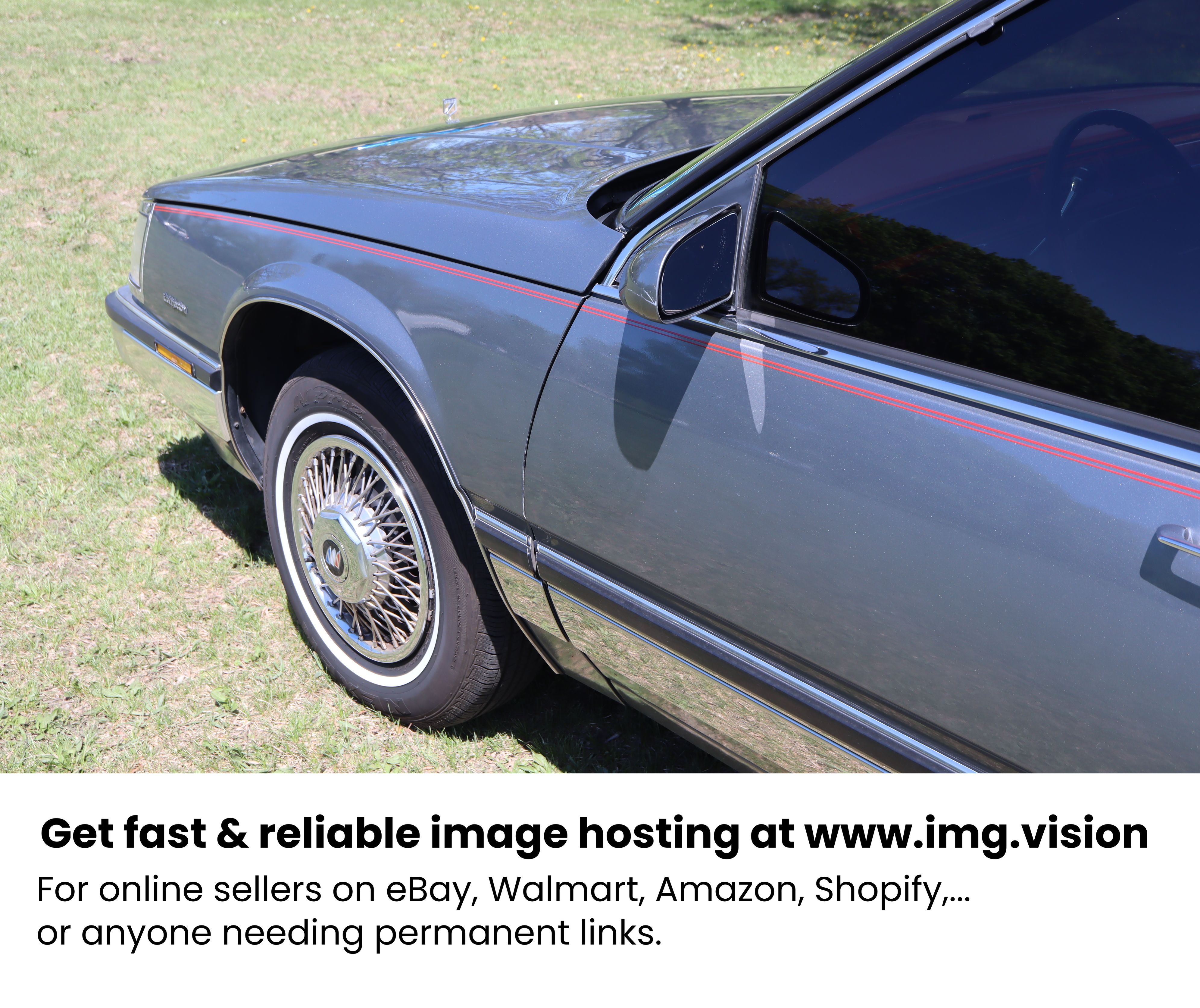 Image hosting by Img.vision