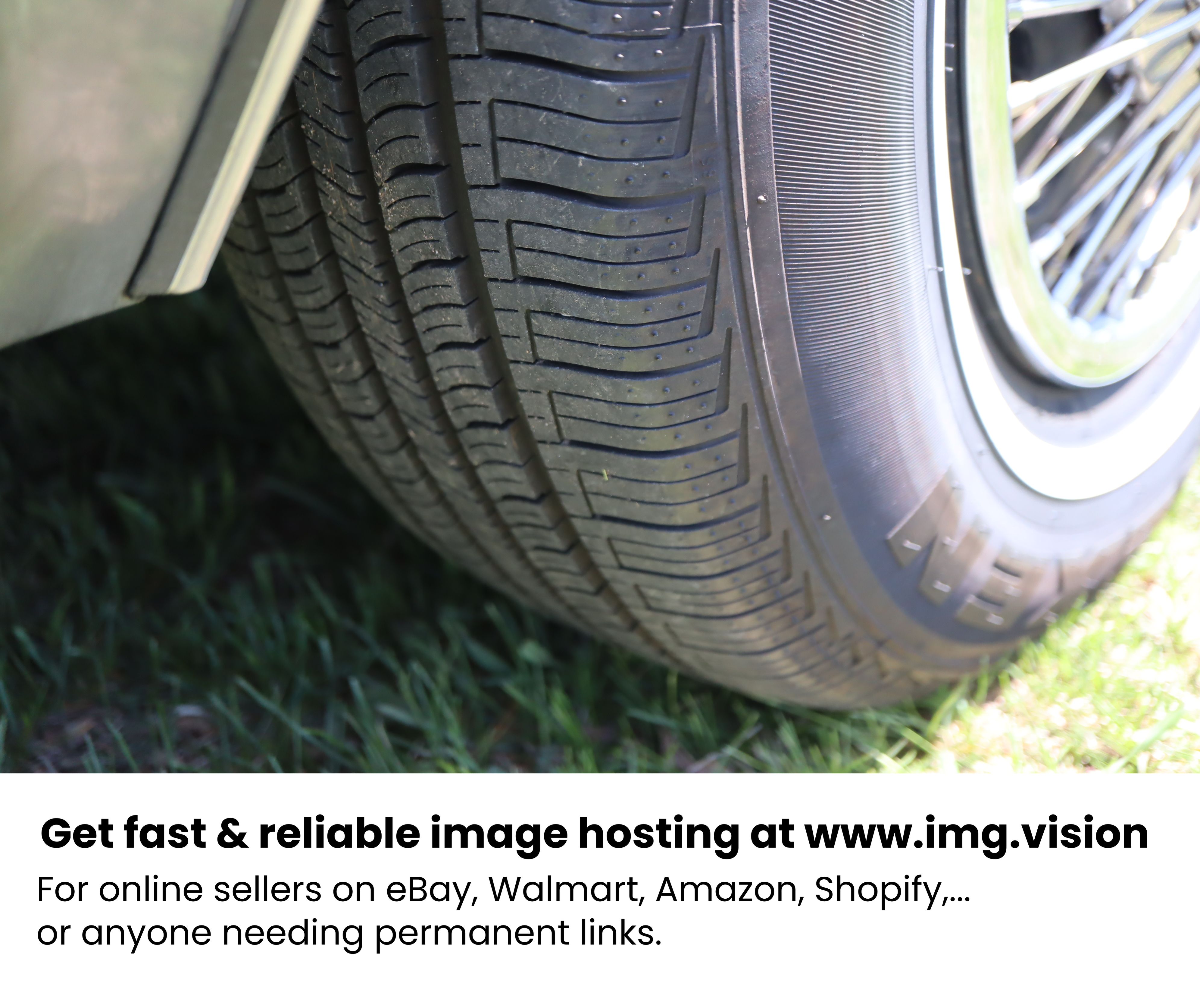 Image hosting by Img.vision