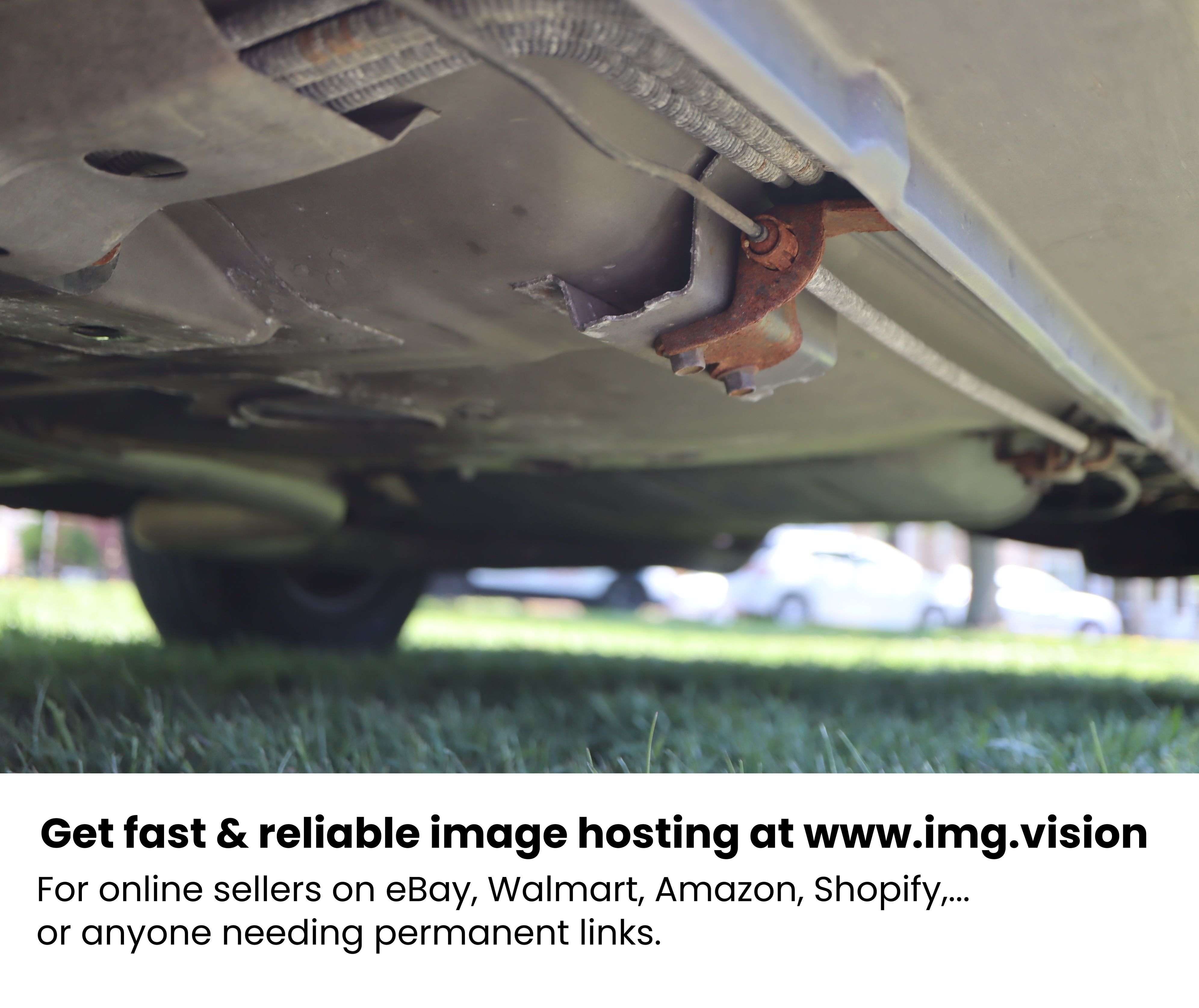 Image hosting by Img.vision