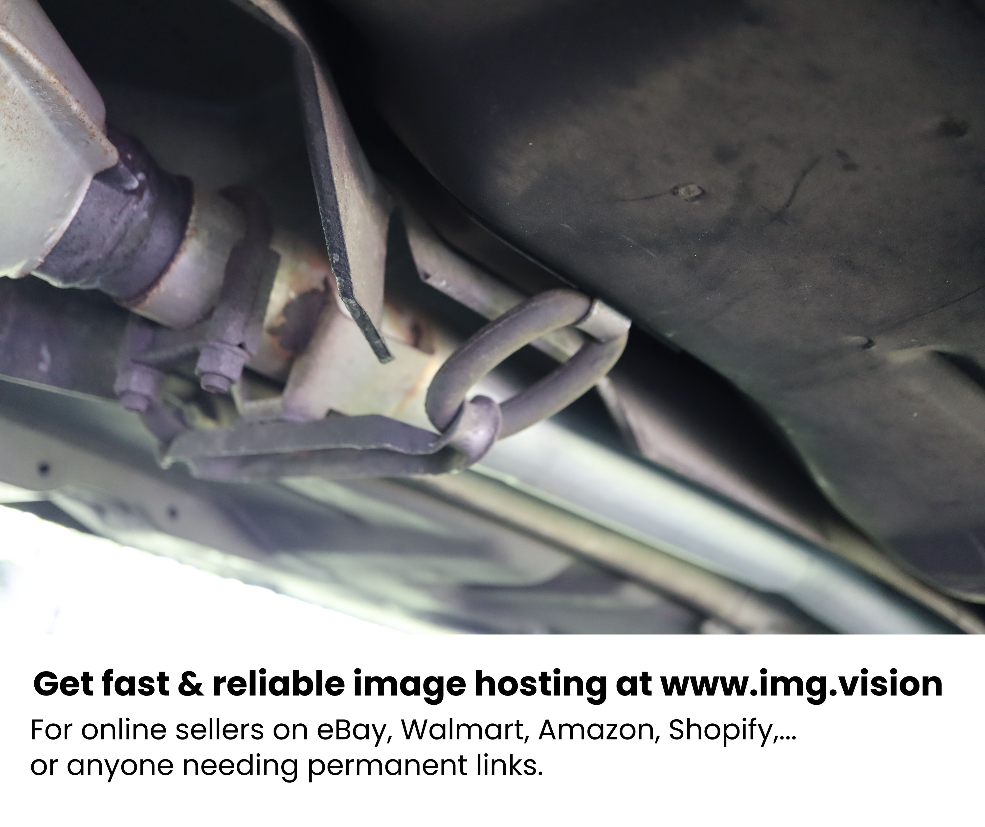 Image hosting by Img.vision