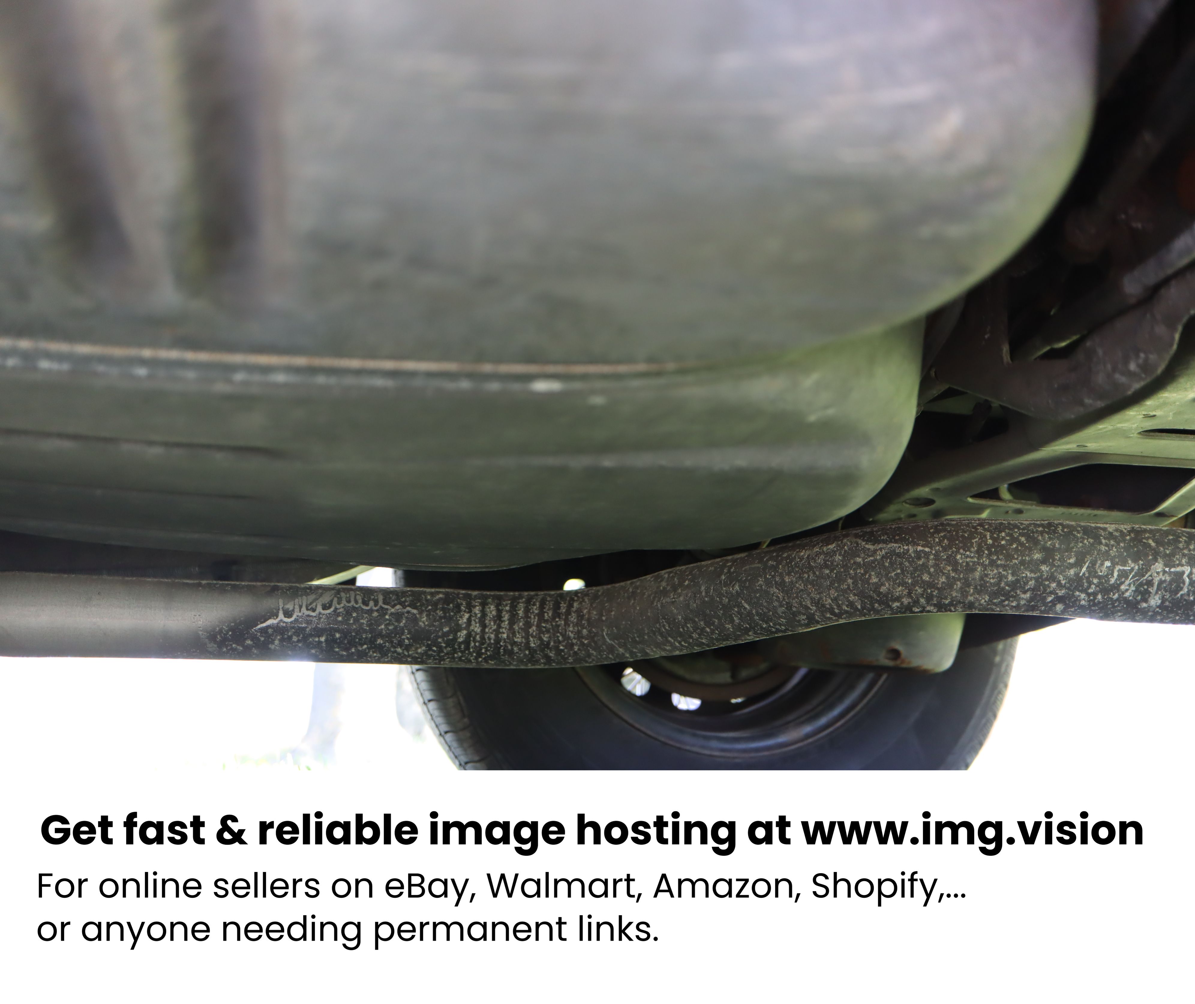 Image hosting by Img.vision