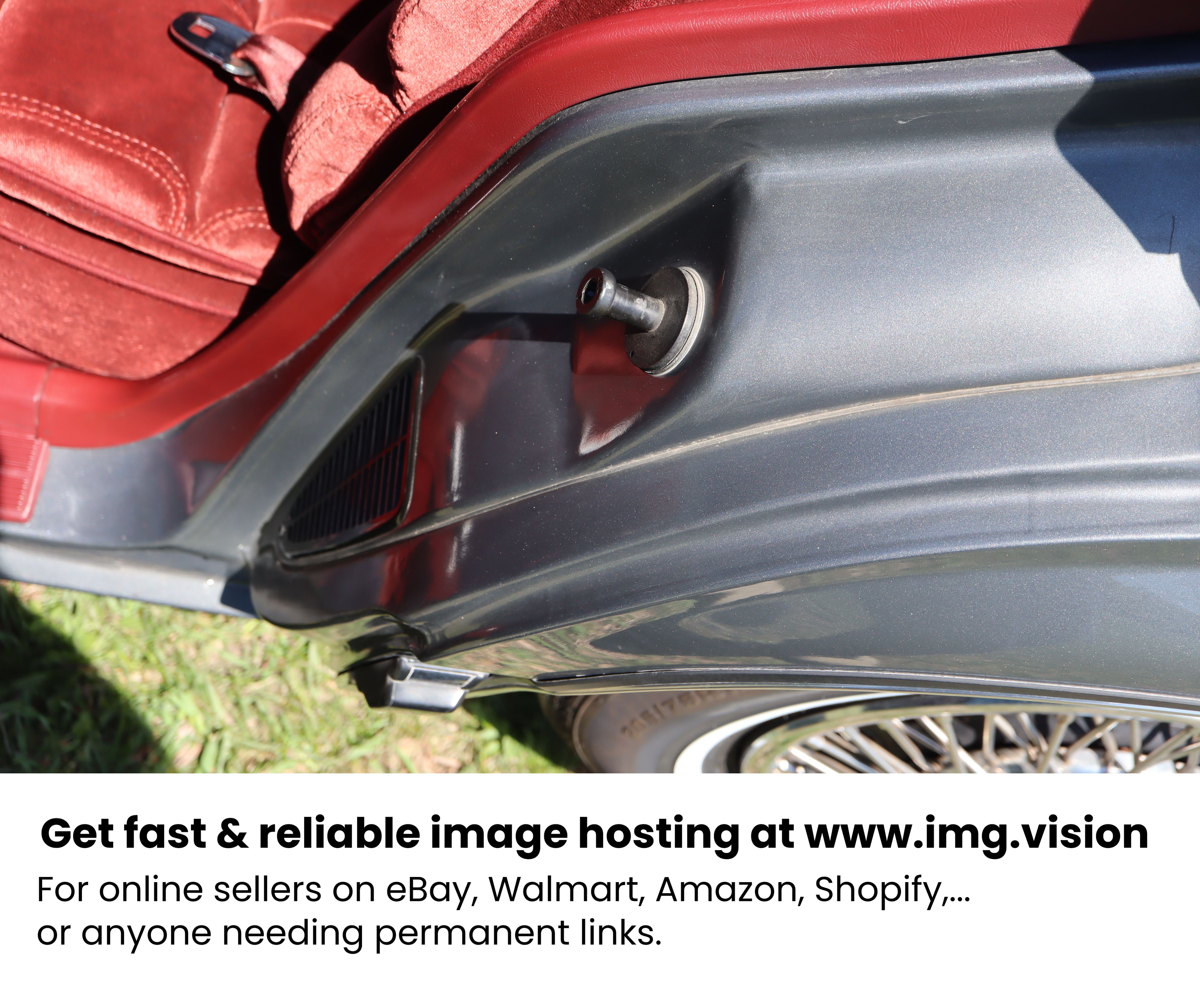 Image hosting by Img.vision