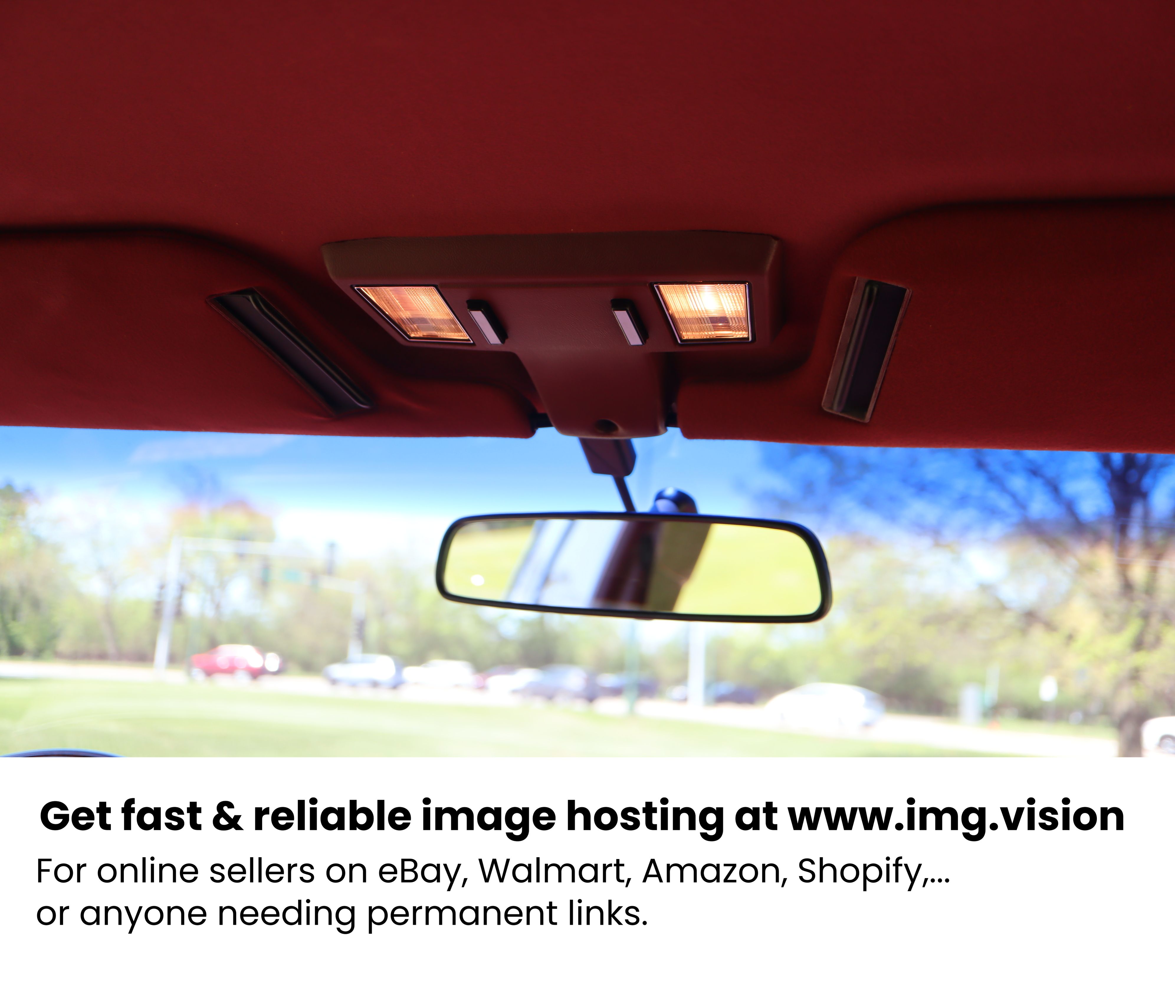 Image hosting by Img.vision