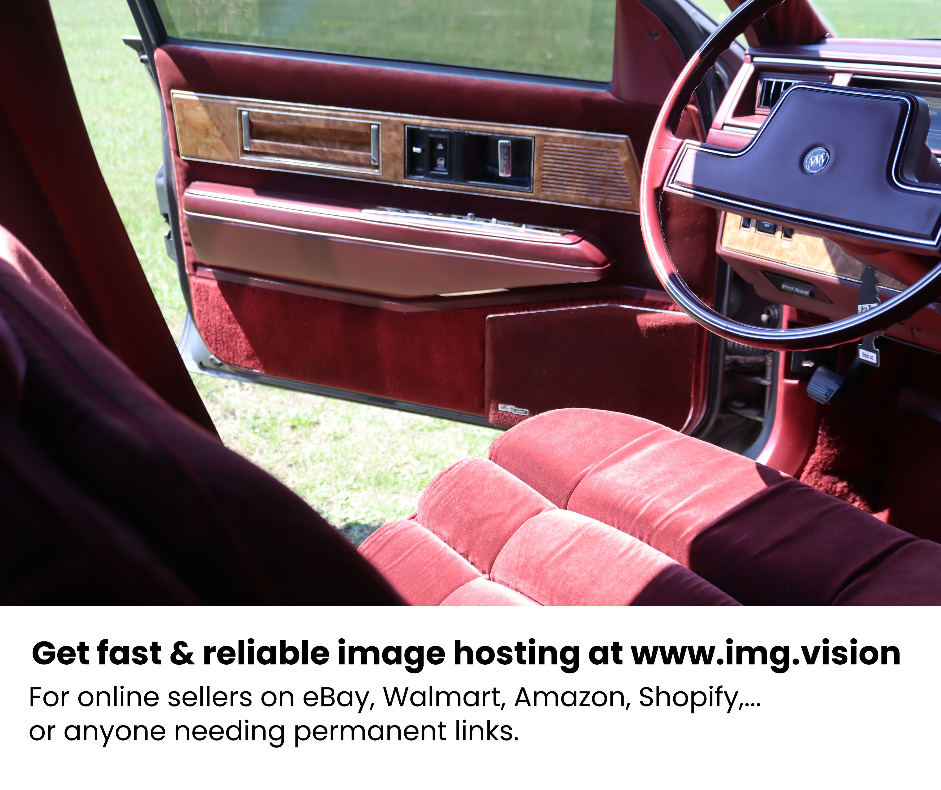 Image hosting by Img.vision