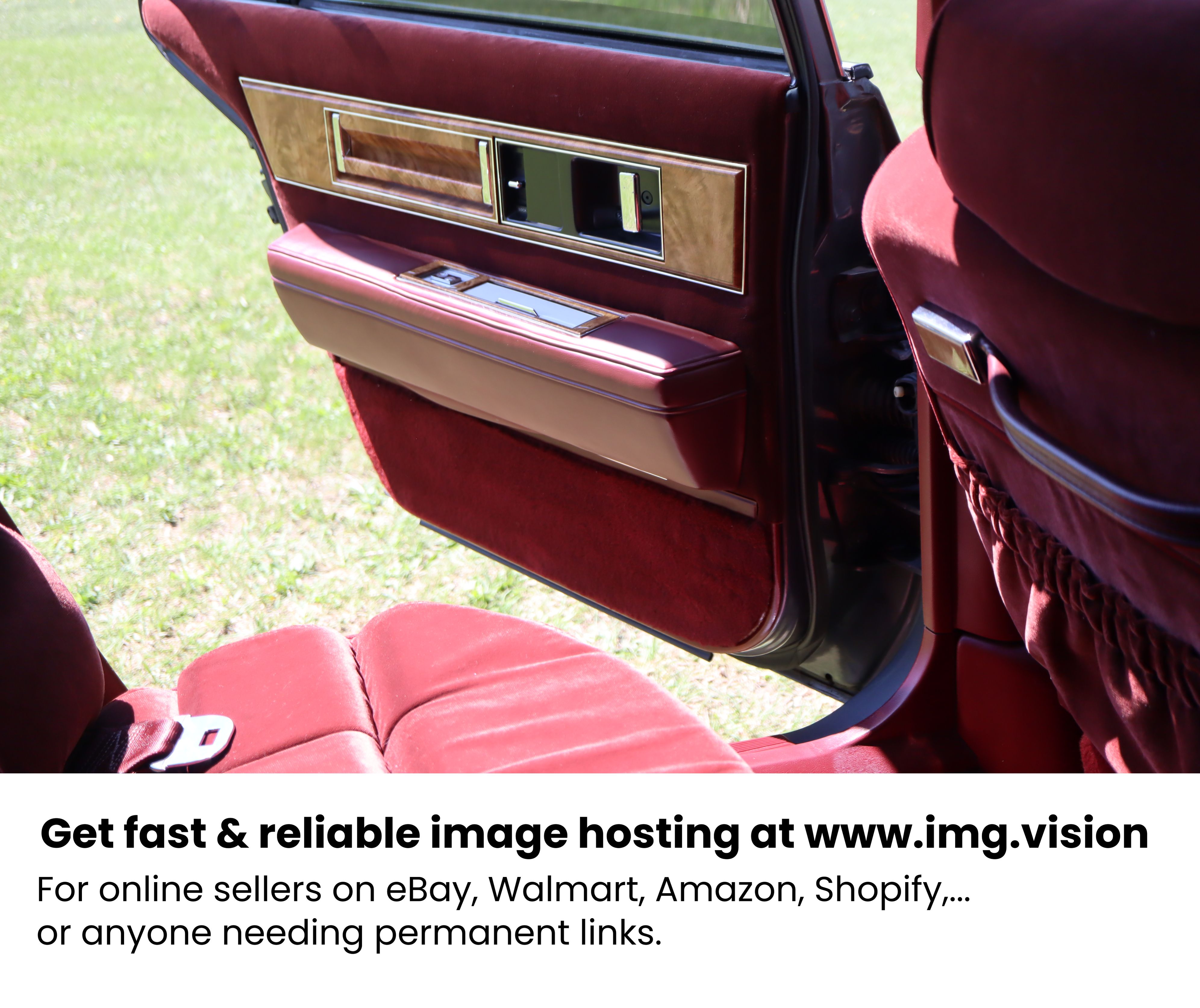 Image hosting by Img.vision
