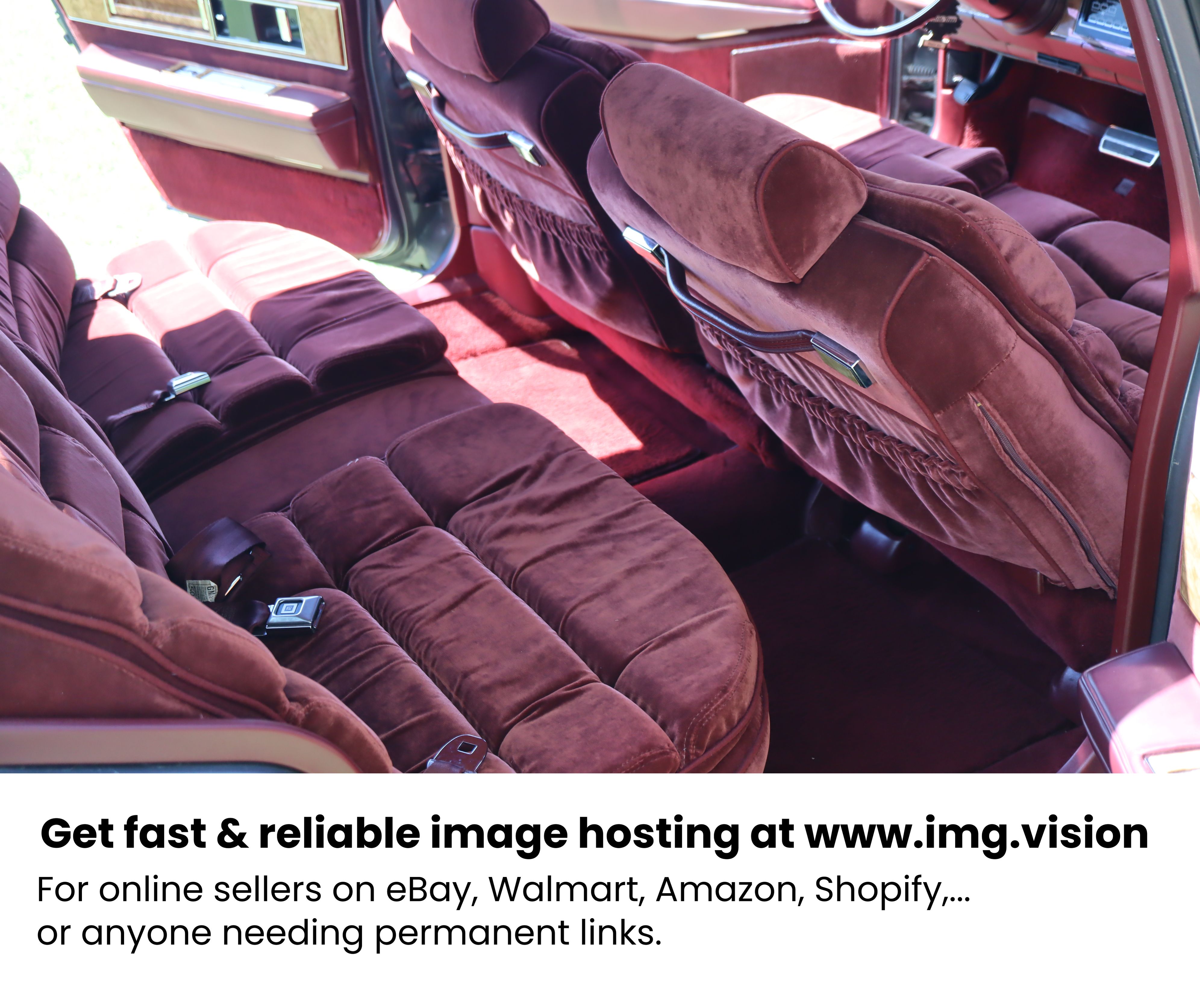 Image hosting by Img.vision