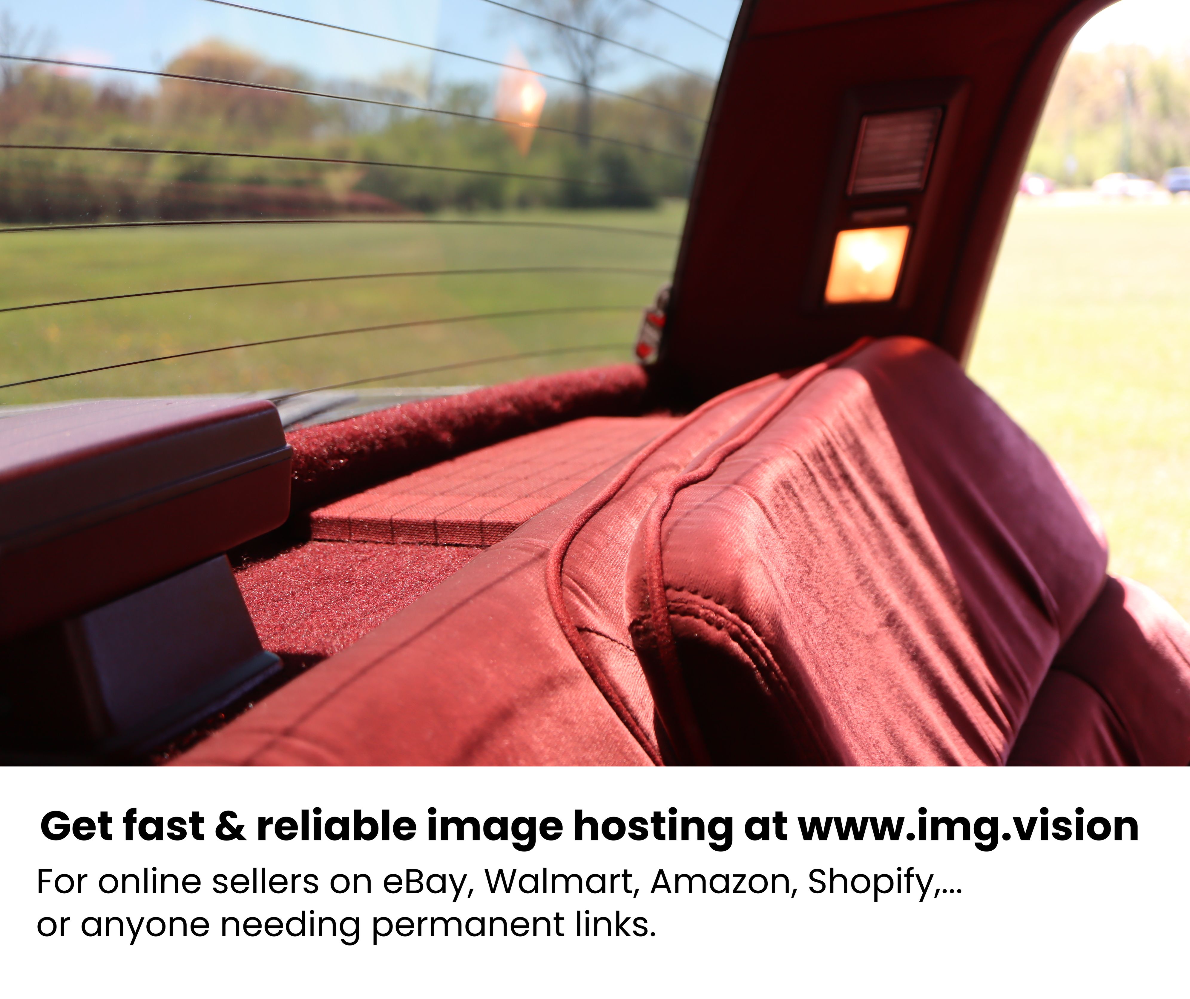Image hosting by Img.vision