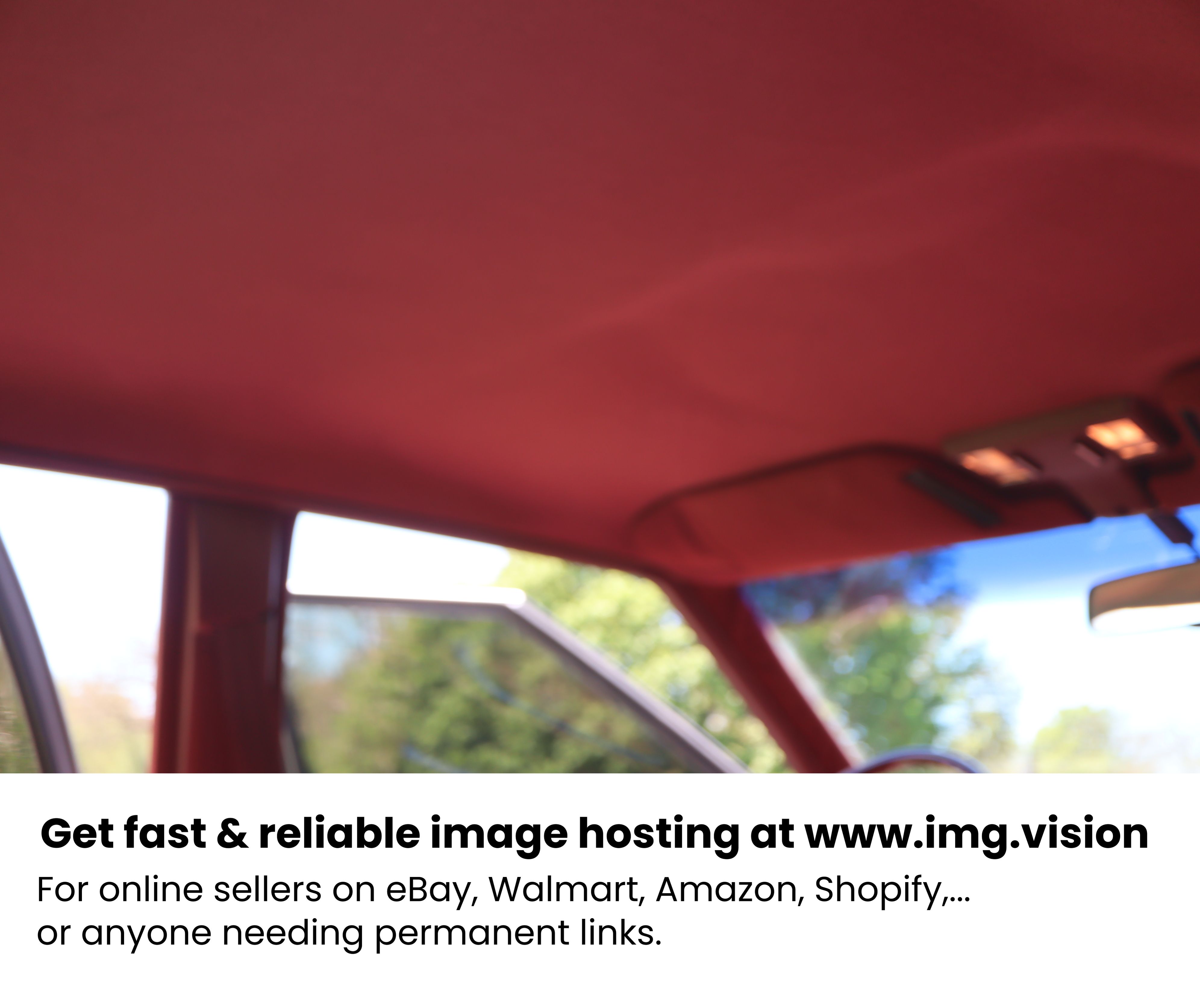Image hosting by Img.vision