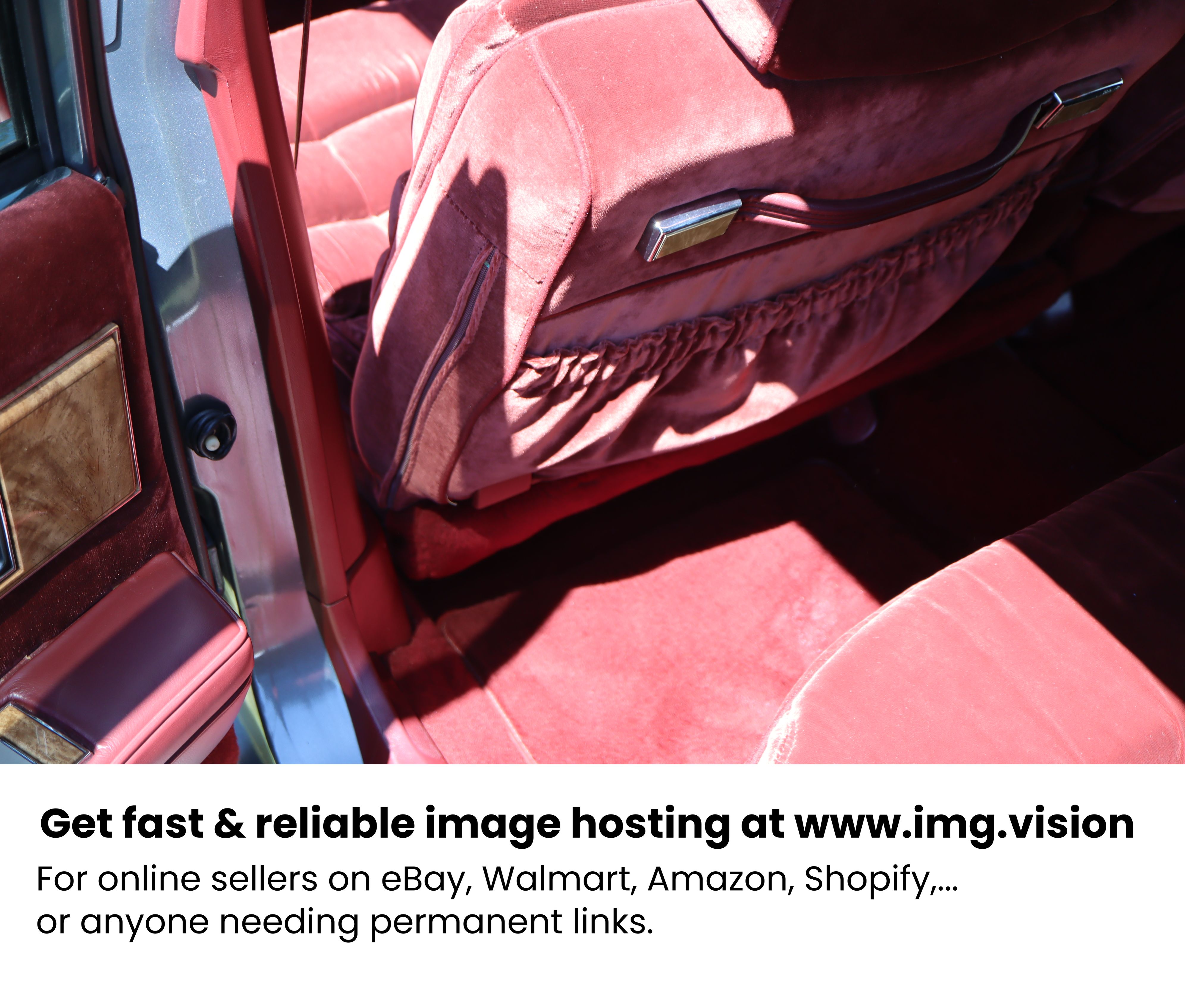 Image hosting by Img.vision