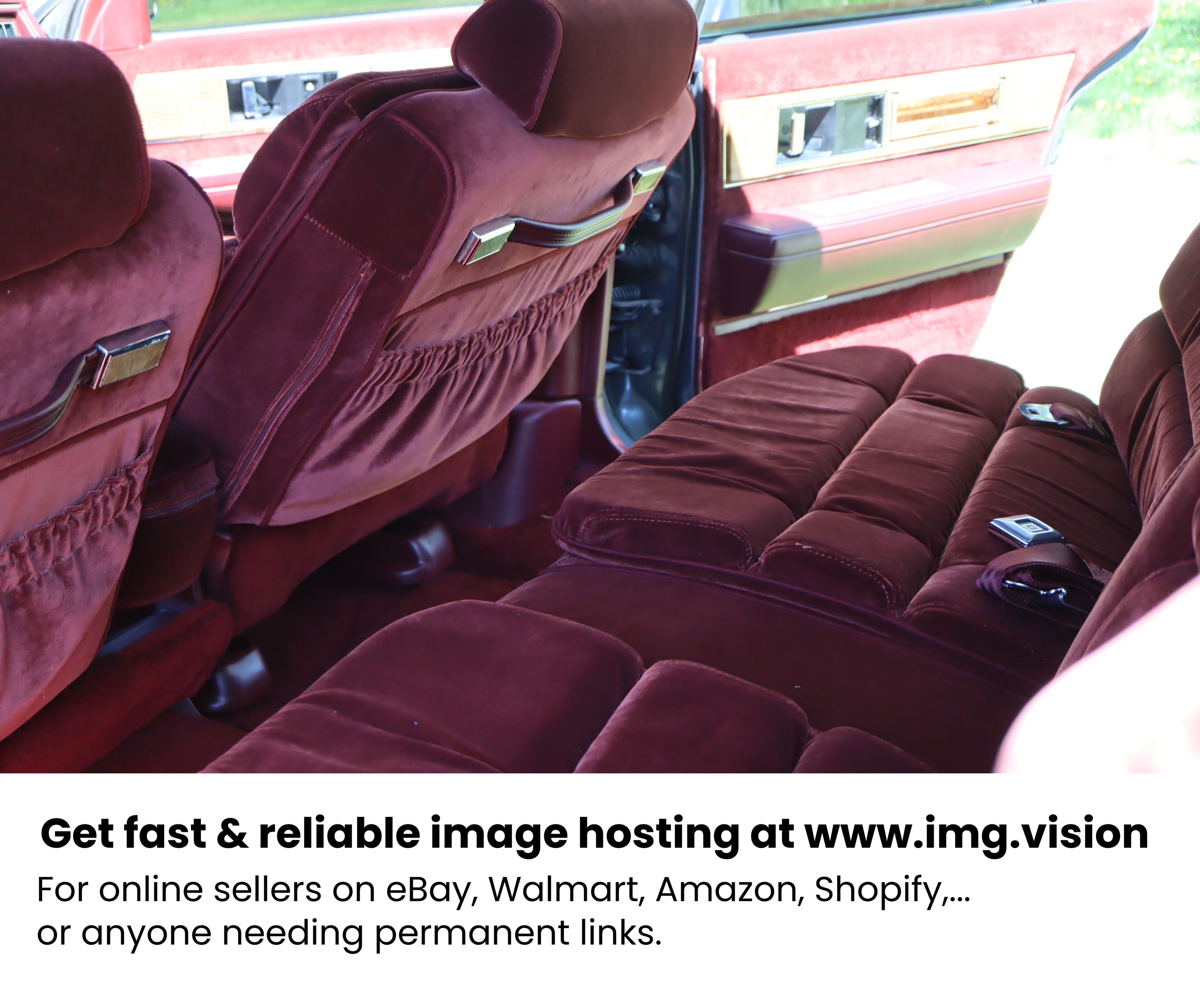Image hosting by Img.vision