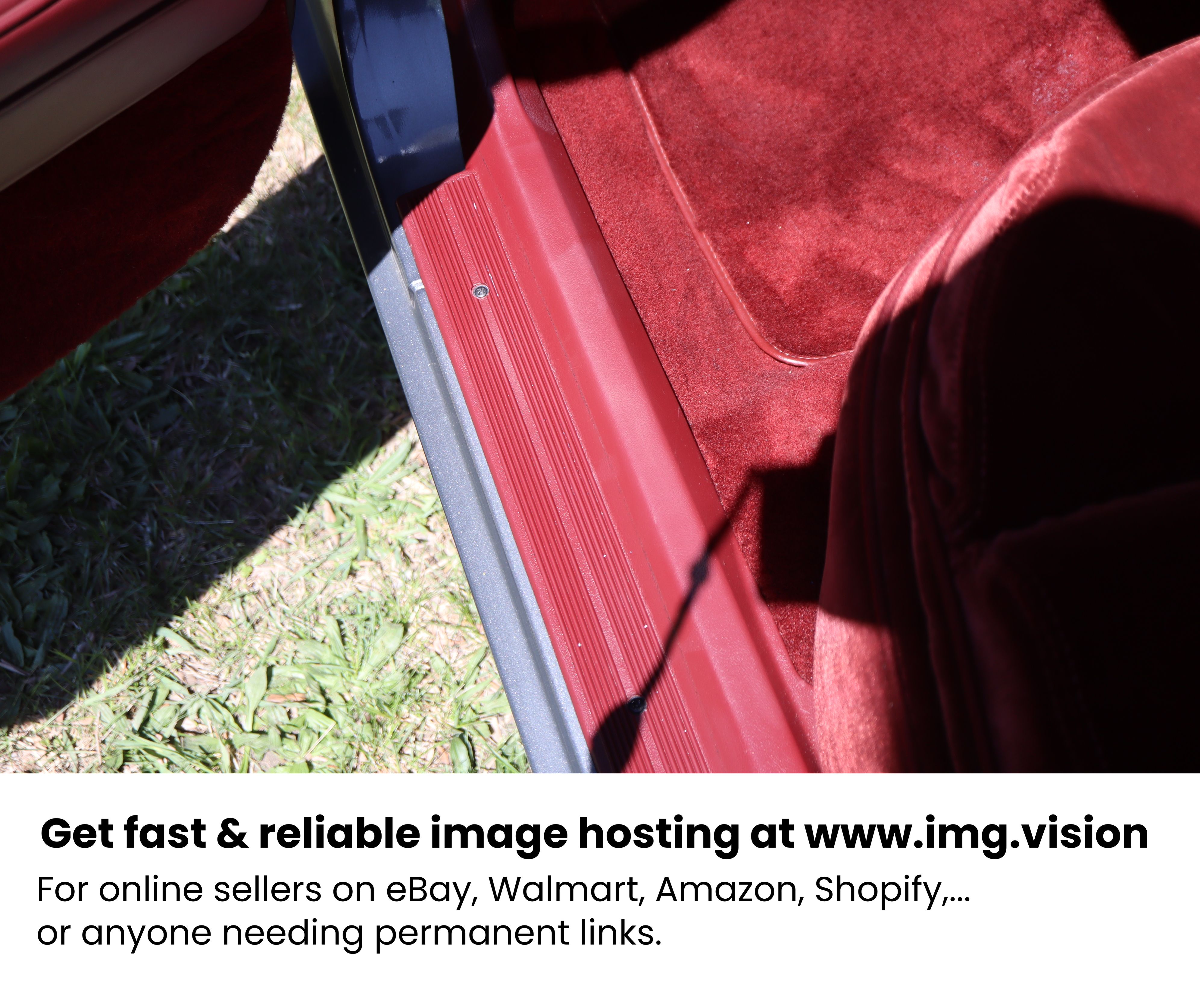 Image hosting by Img.vision