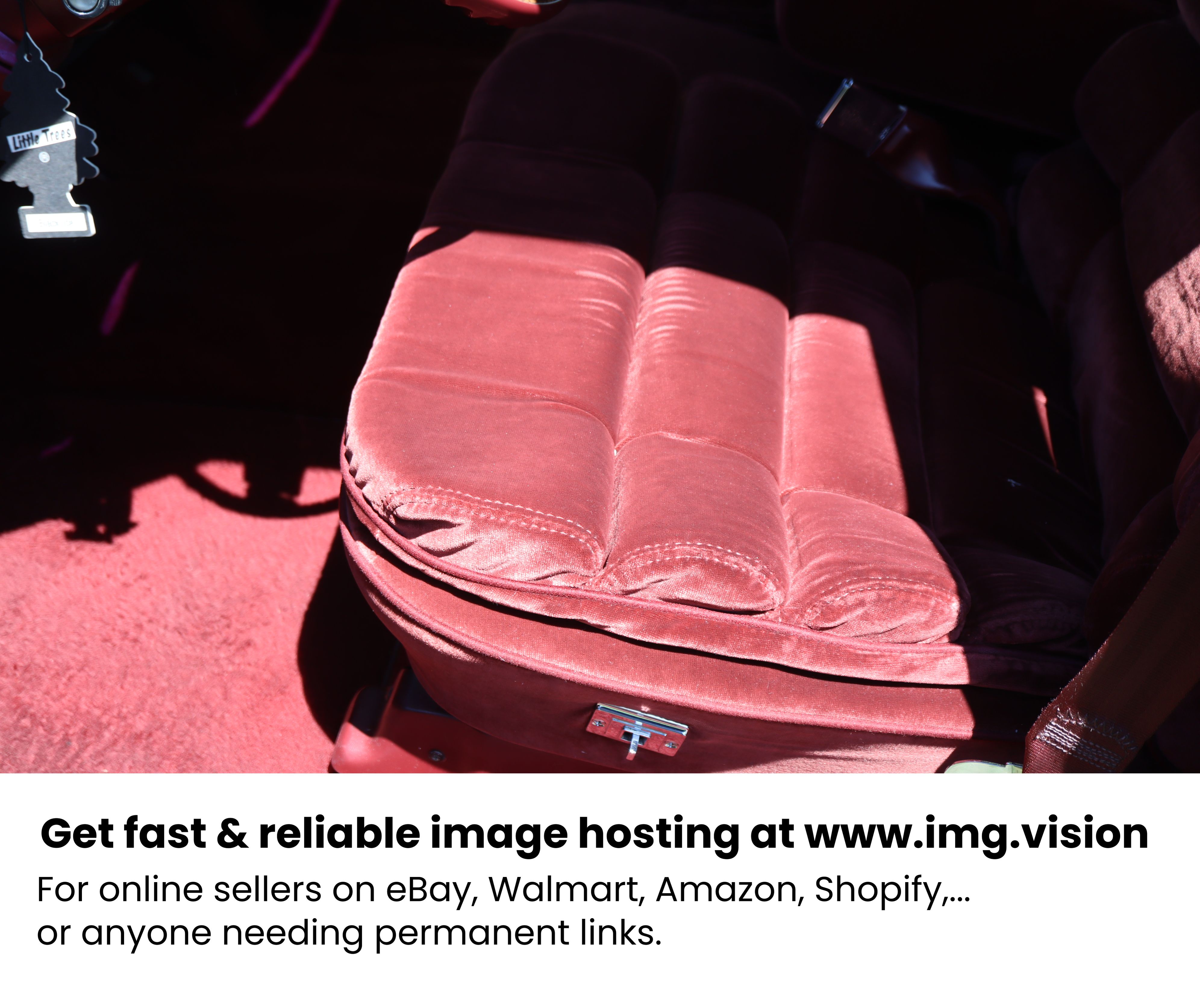 Image hosting by Img.vision