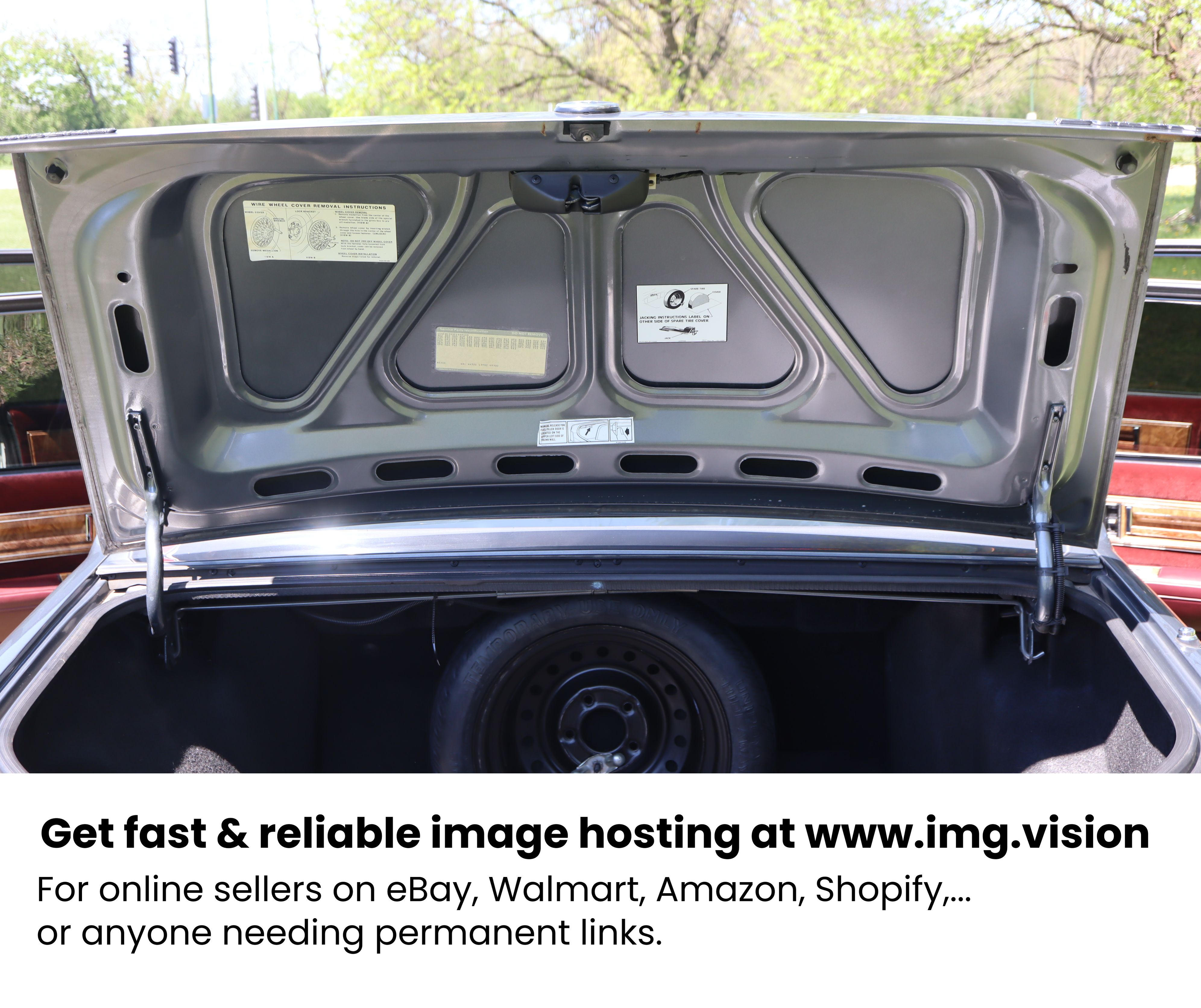 Image hosting by Img.vision