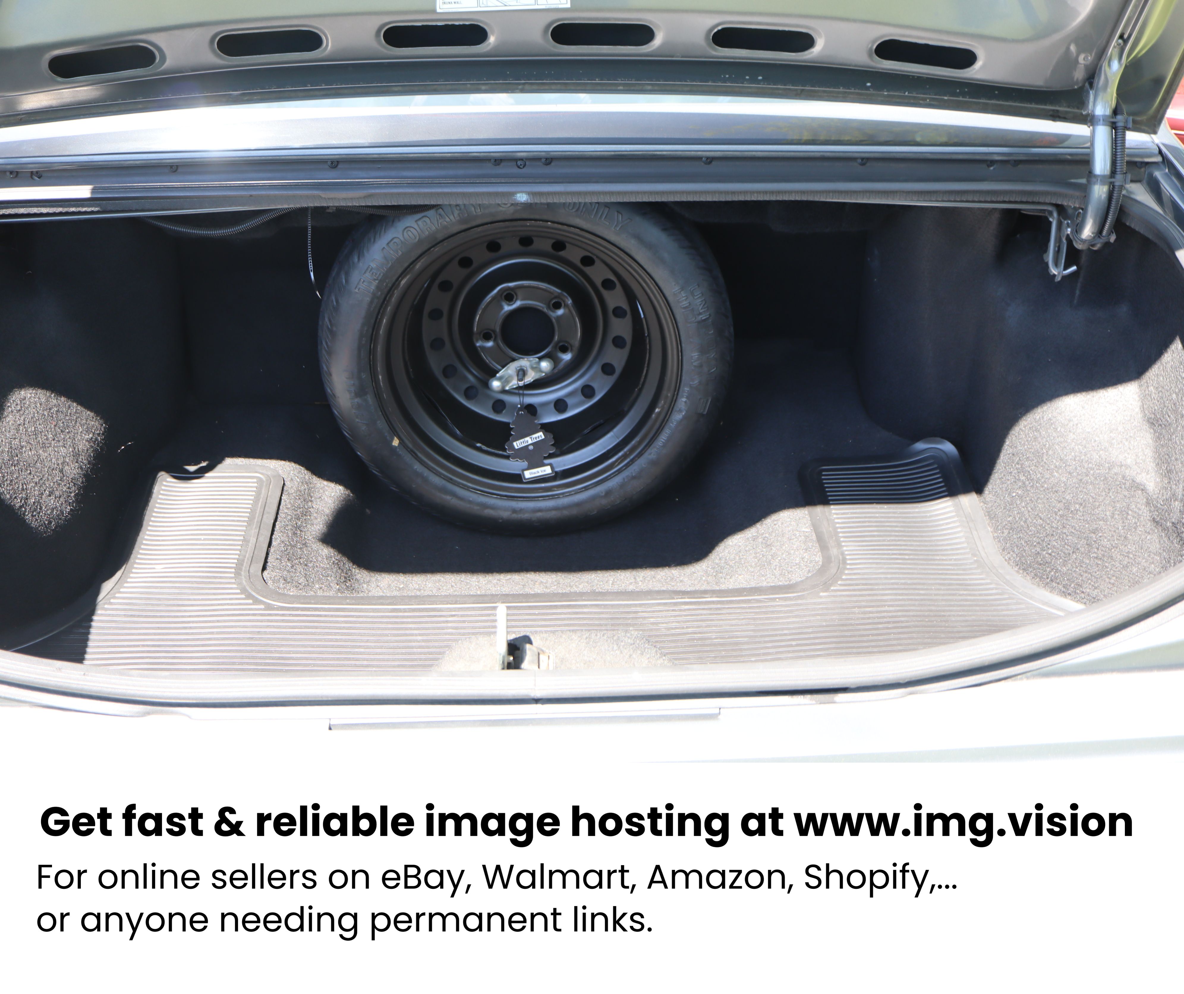 Image hosting by Img.vision