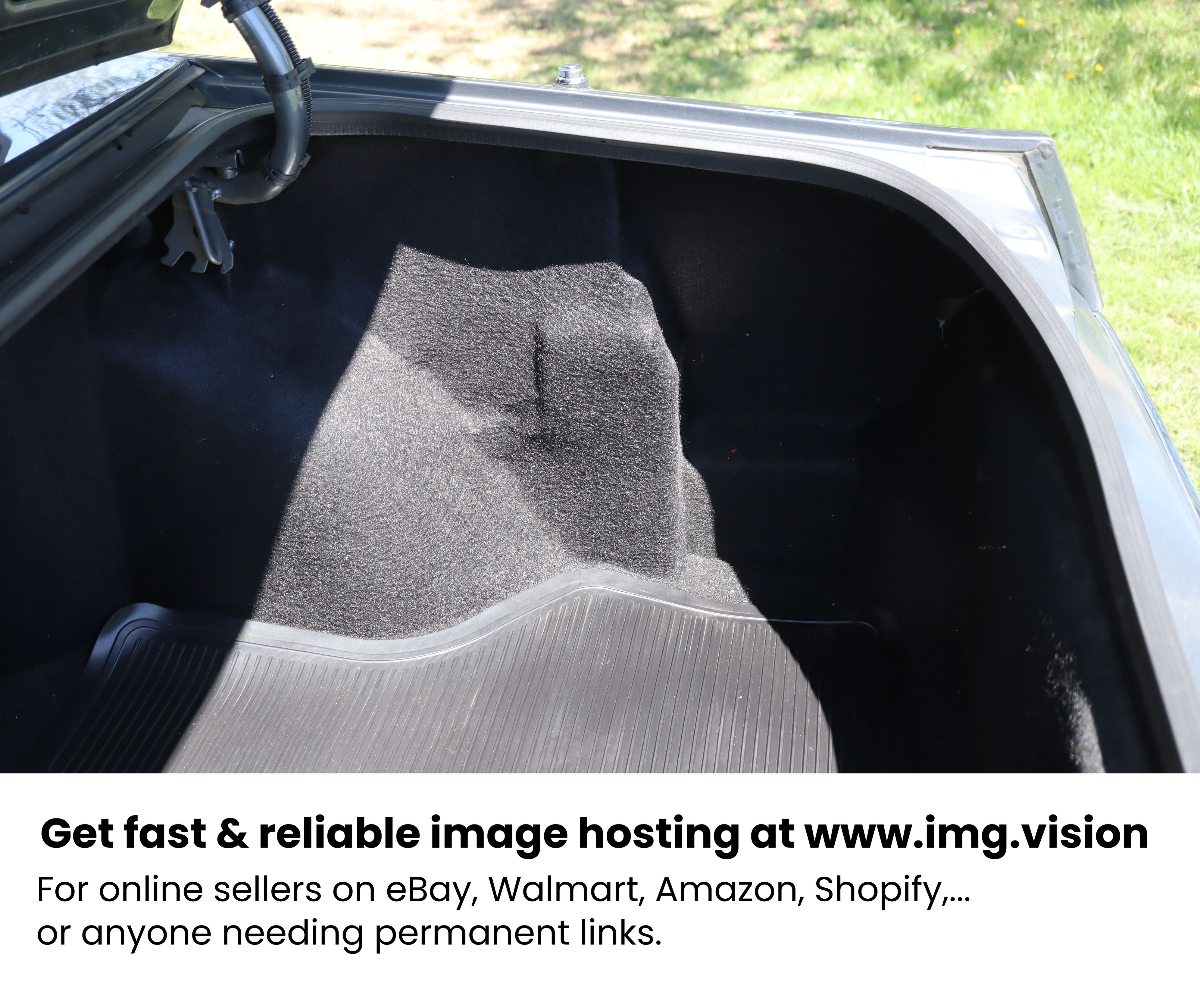 Image hosting by Img.vision