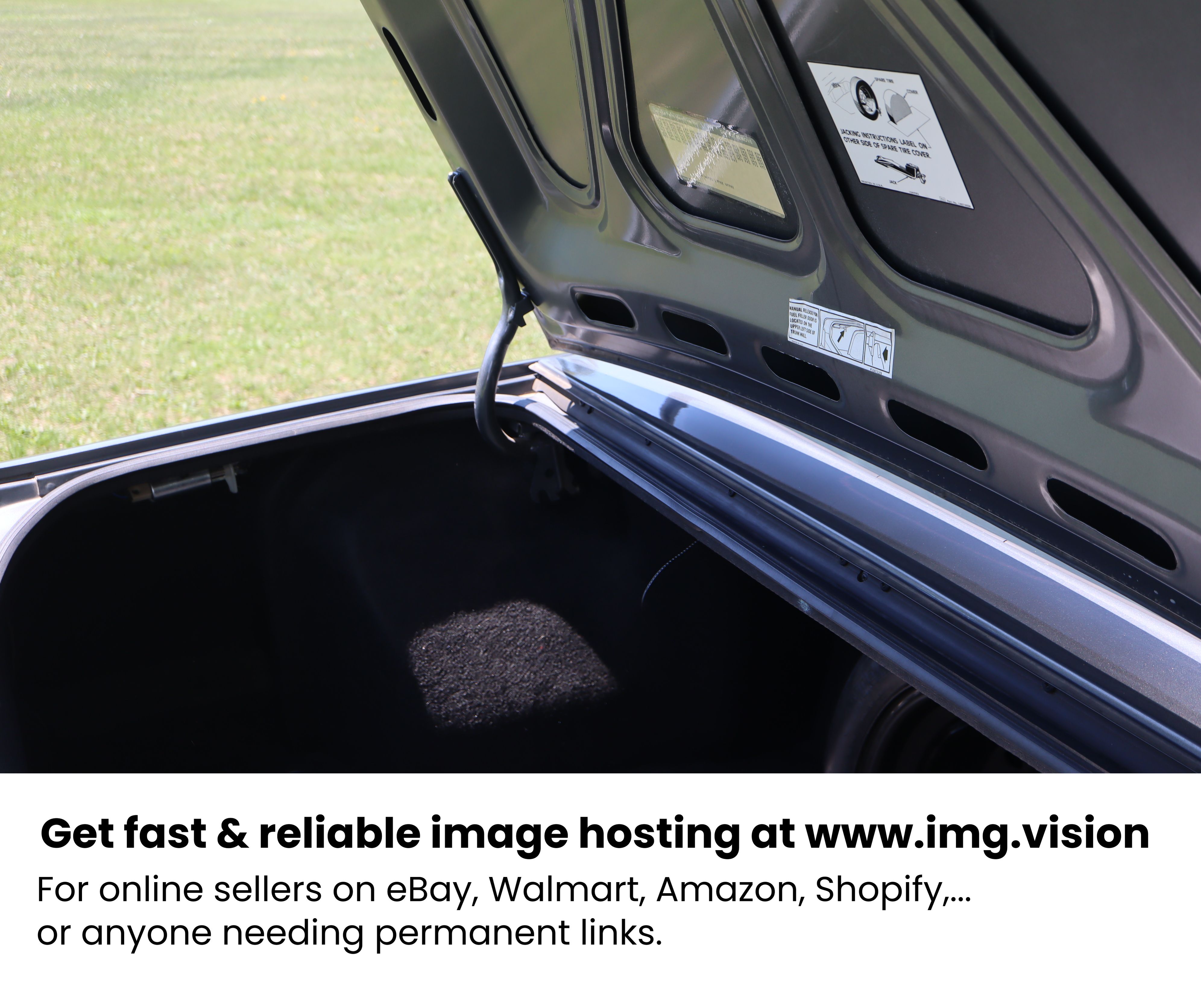 Image hosting by Img.vision
