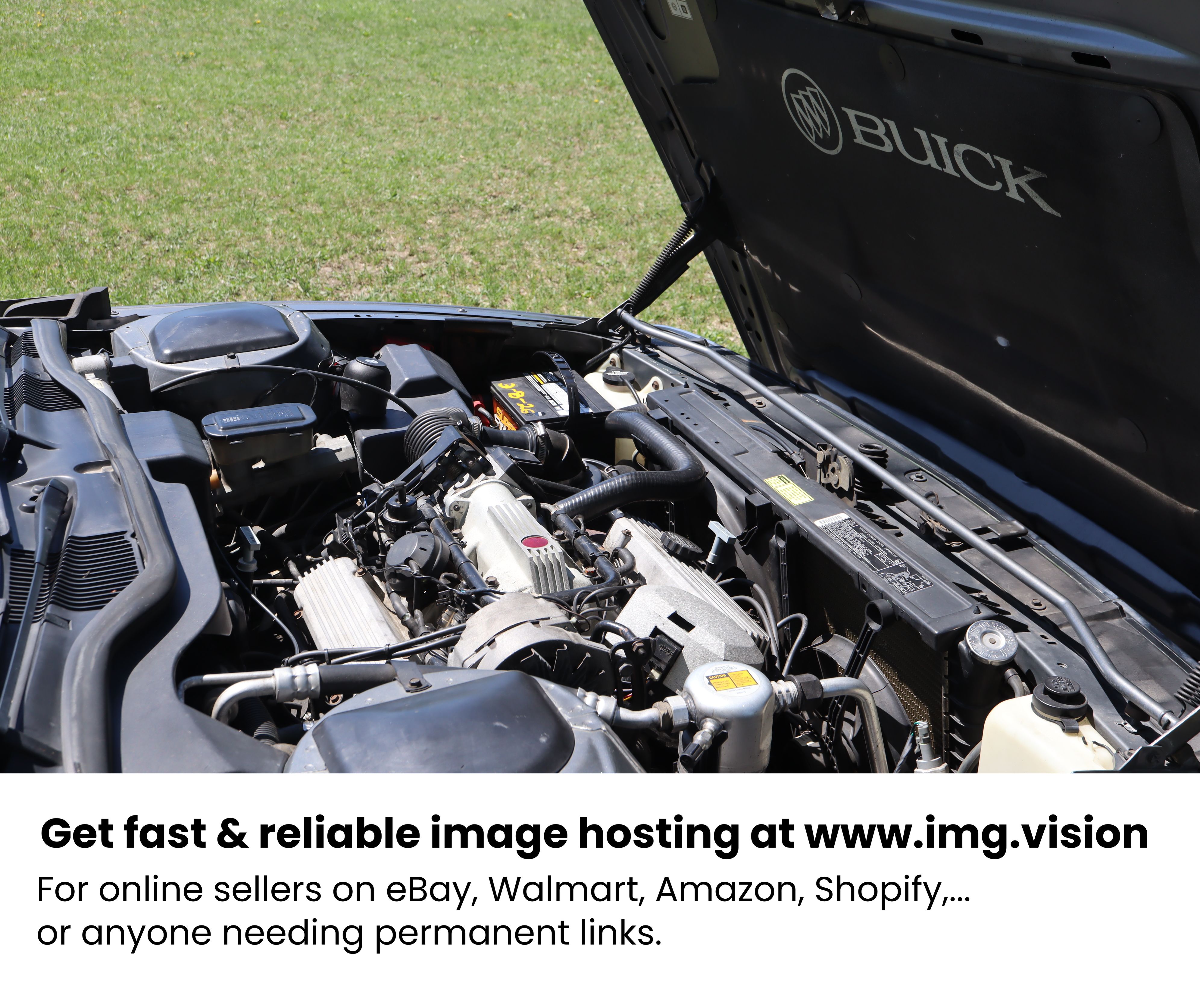 Image hosting by Img.vision