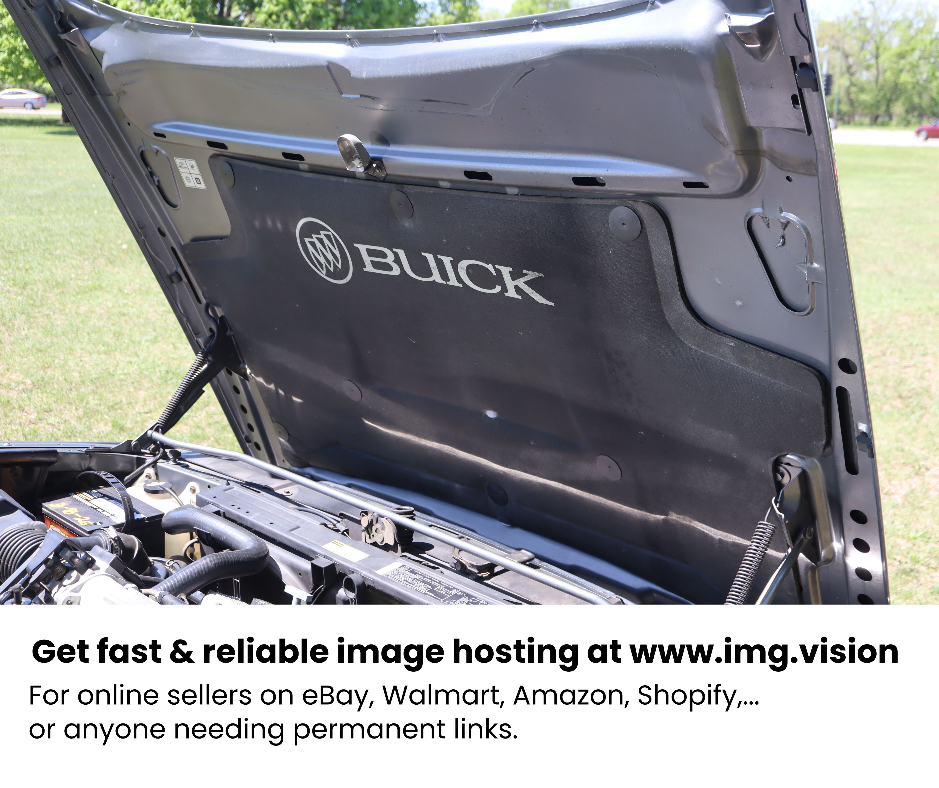 Image hosting by Img.vision