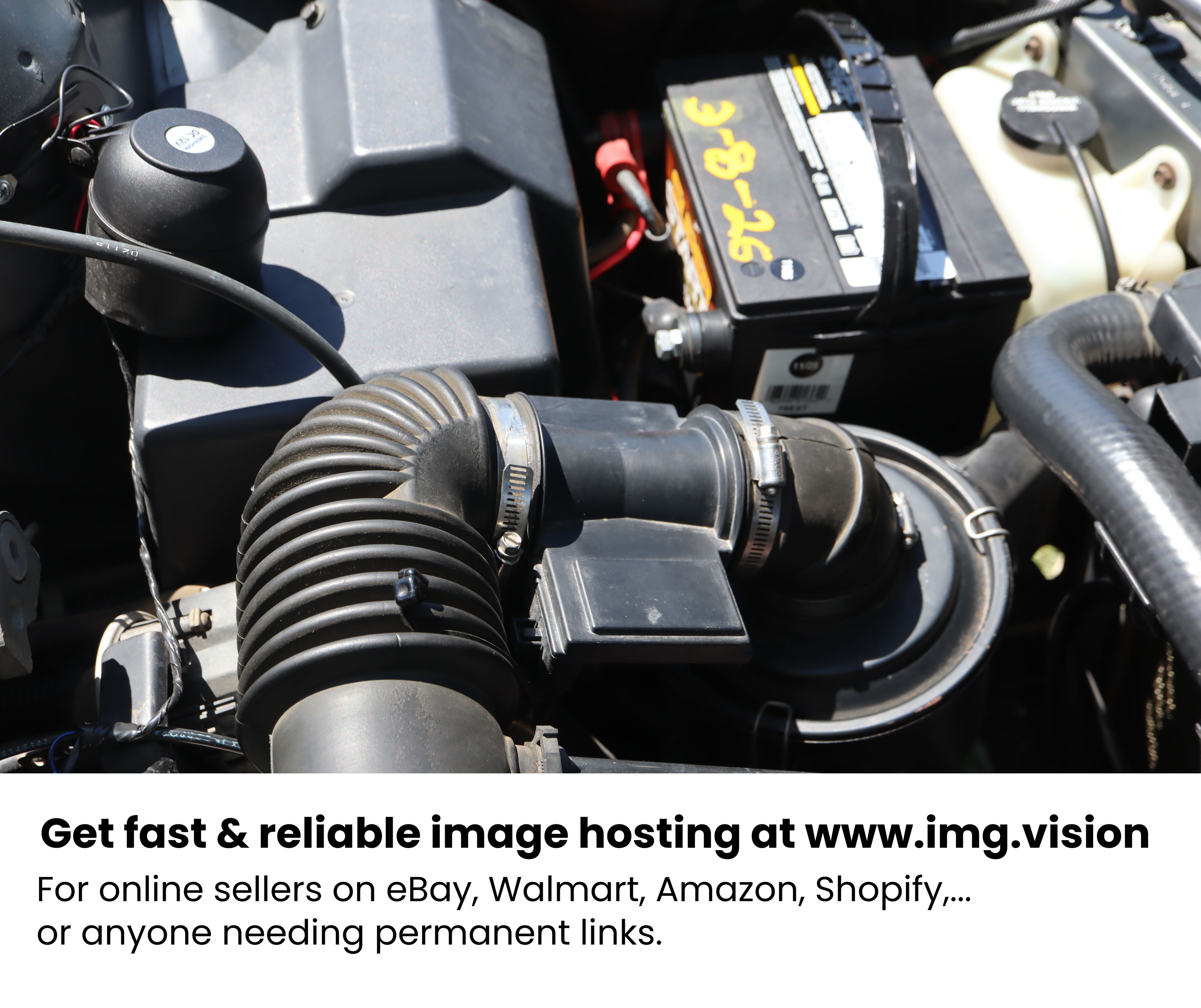 Image hosting by Img.vision