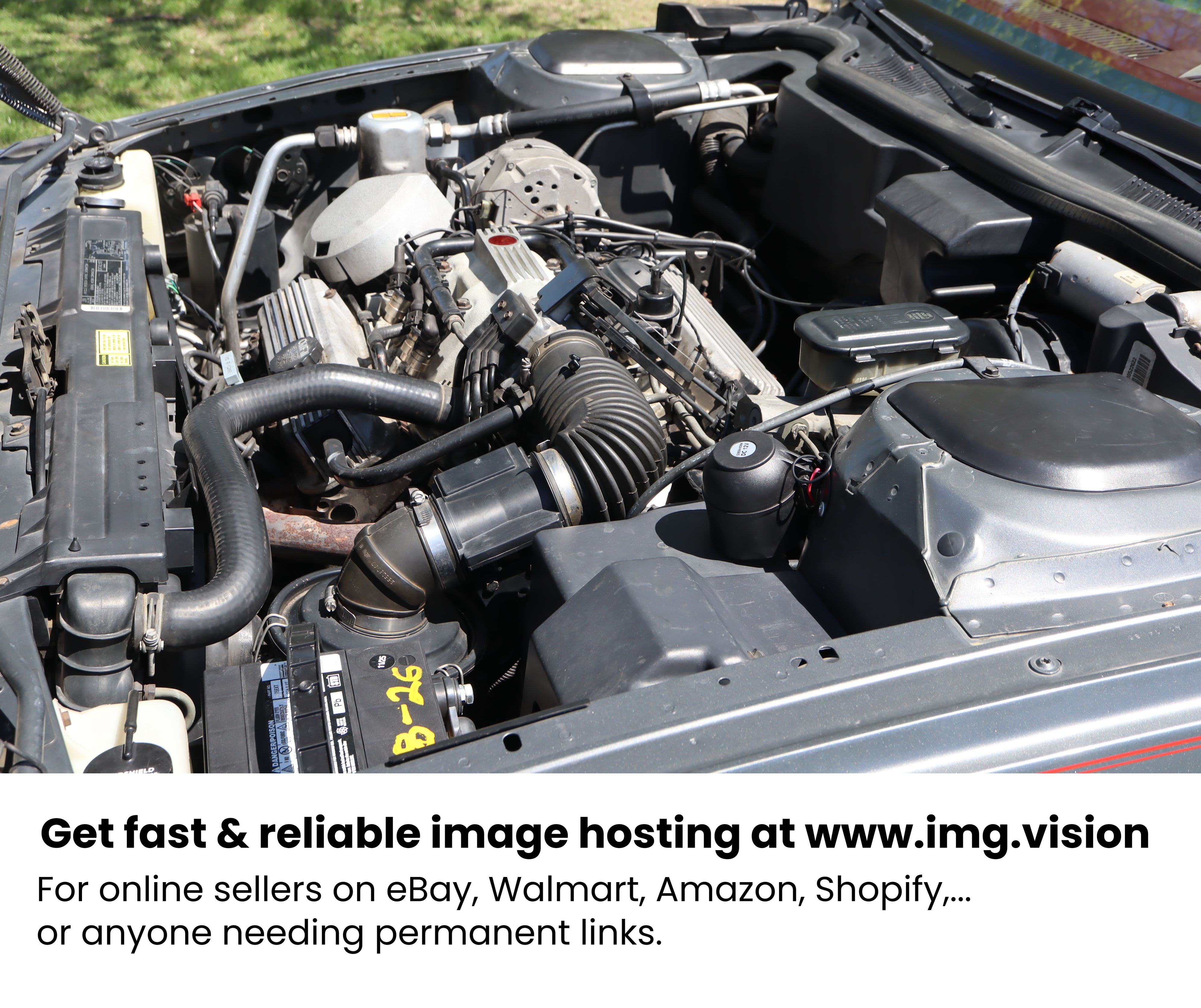 Image hosting by Img.vision