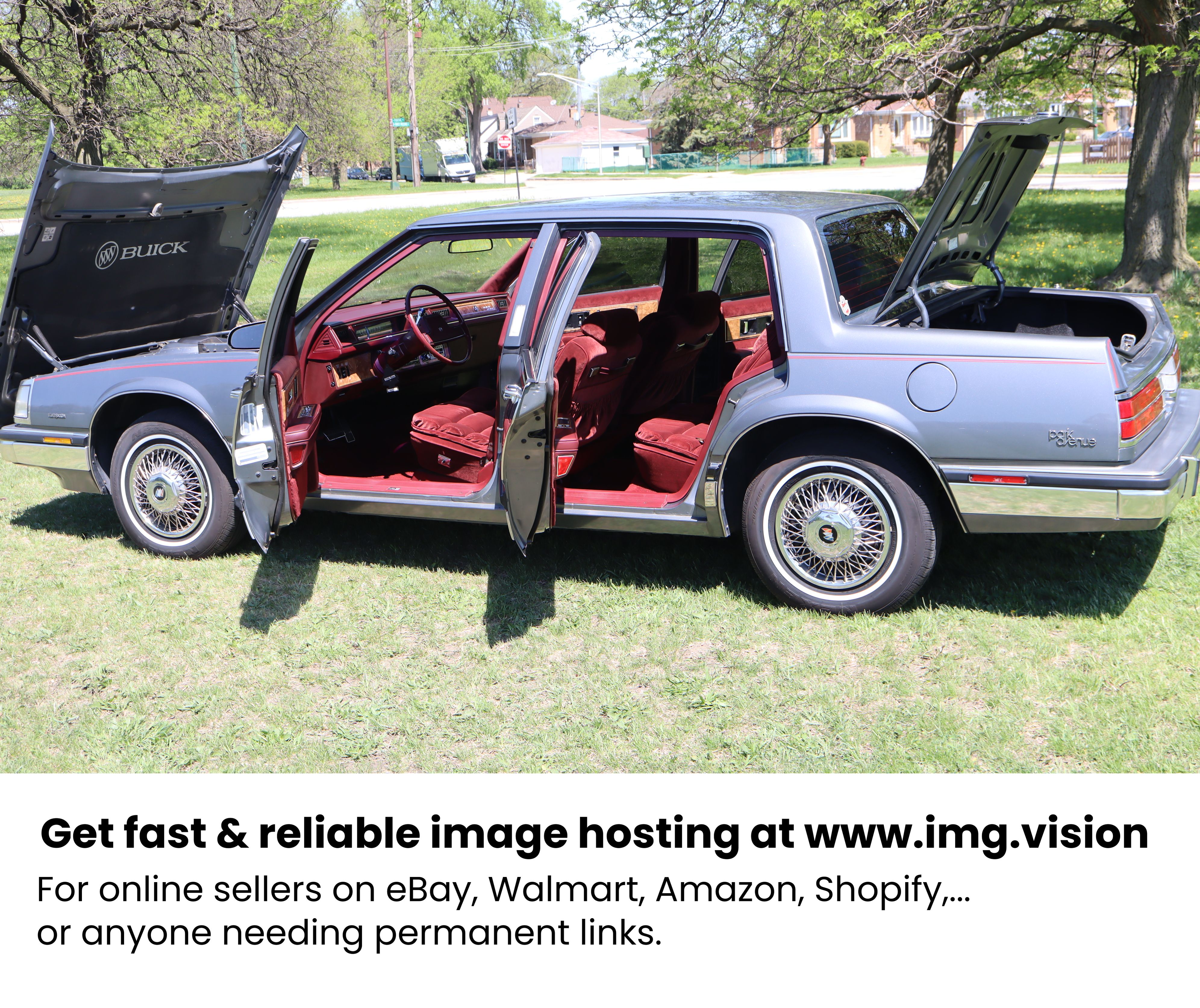 Image hosting by Img.vision