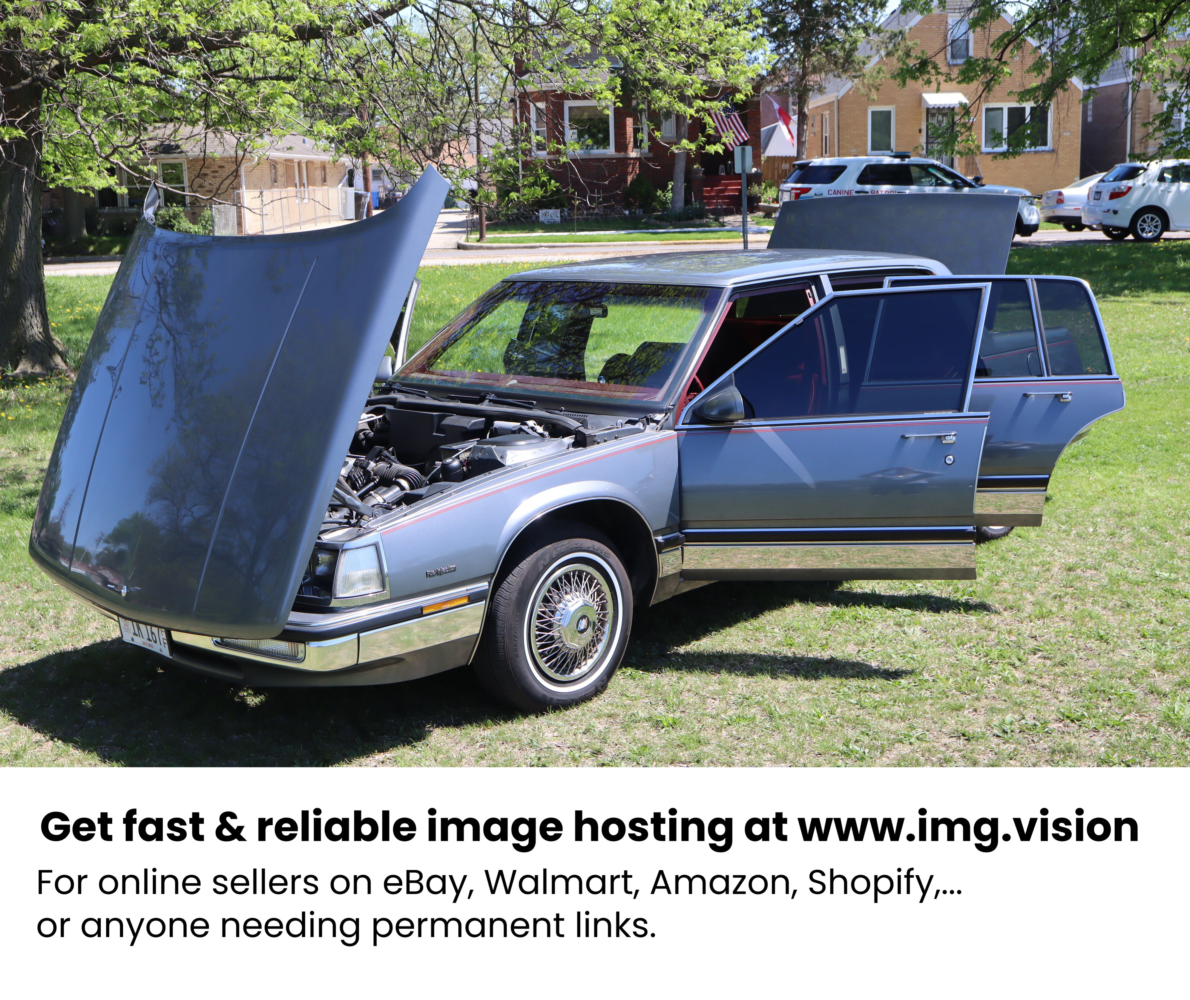 Image hosting by Img.vision