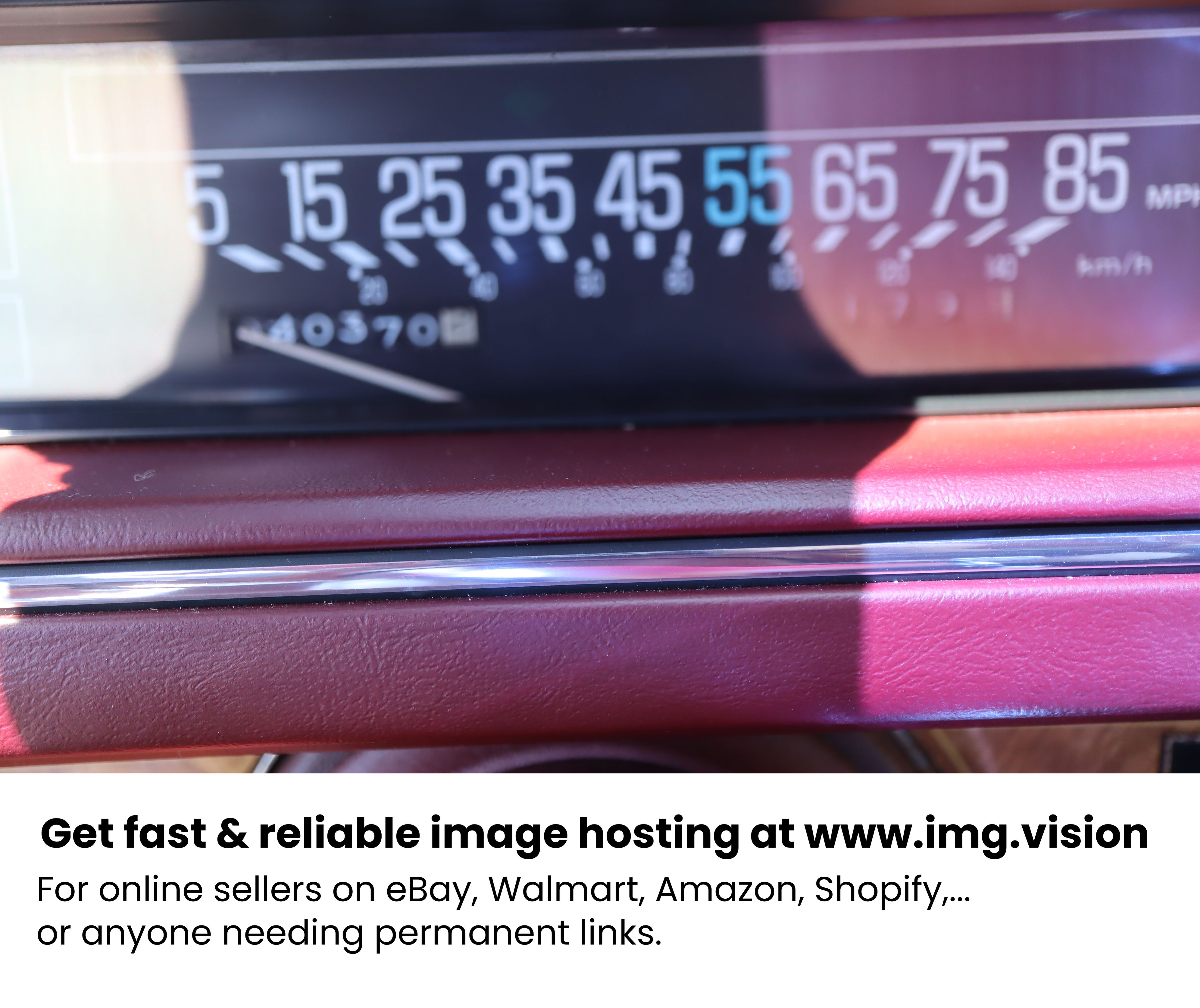 Image hosting by Img.vision