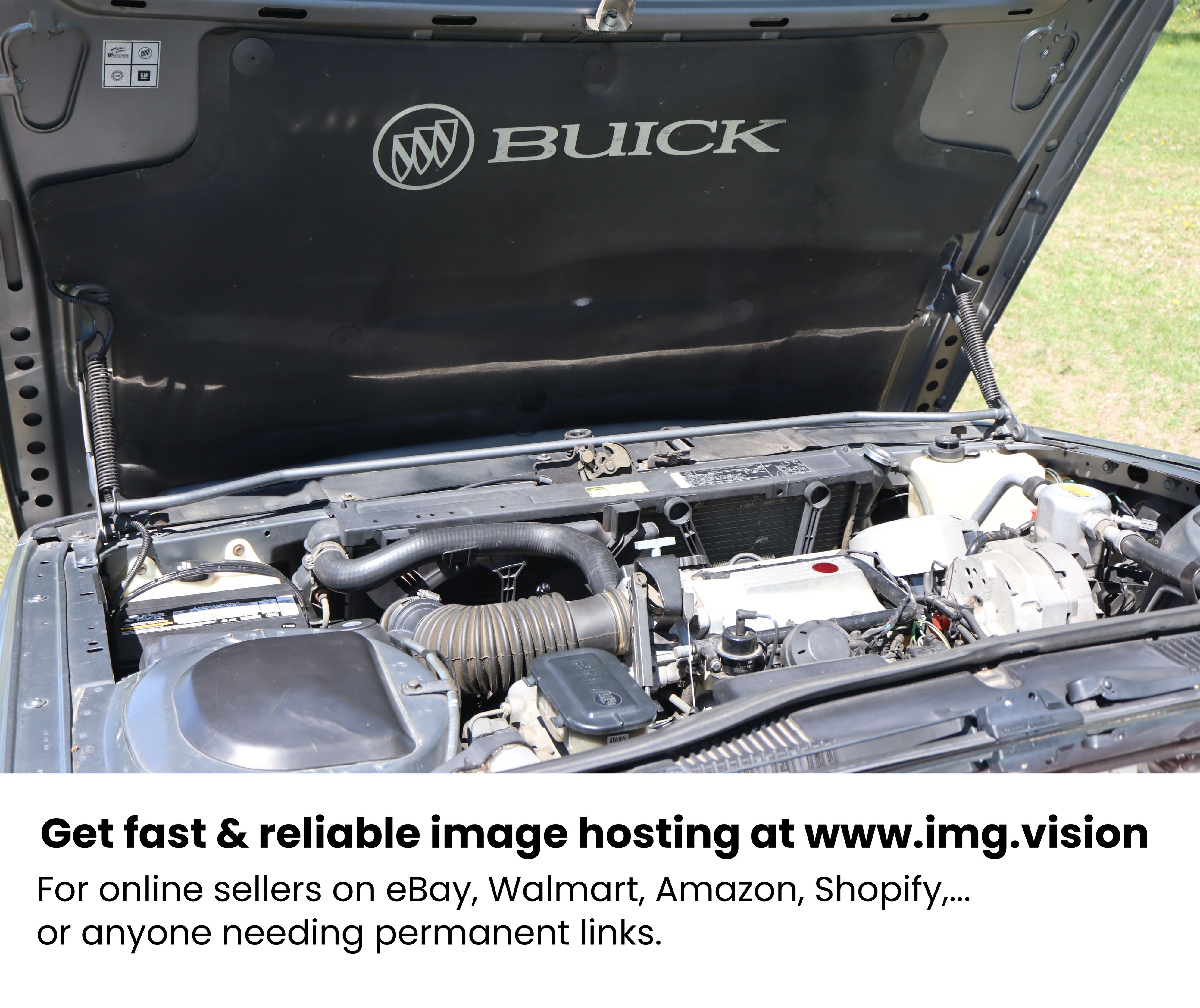 Image hosting by Img.vision