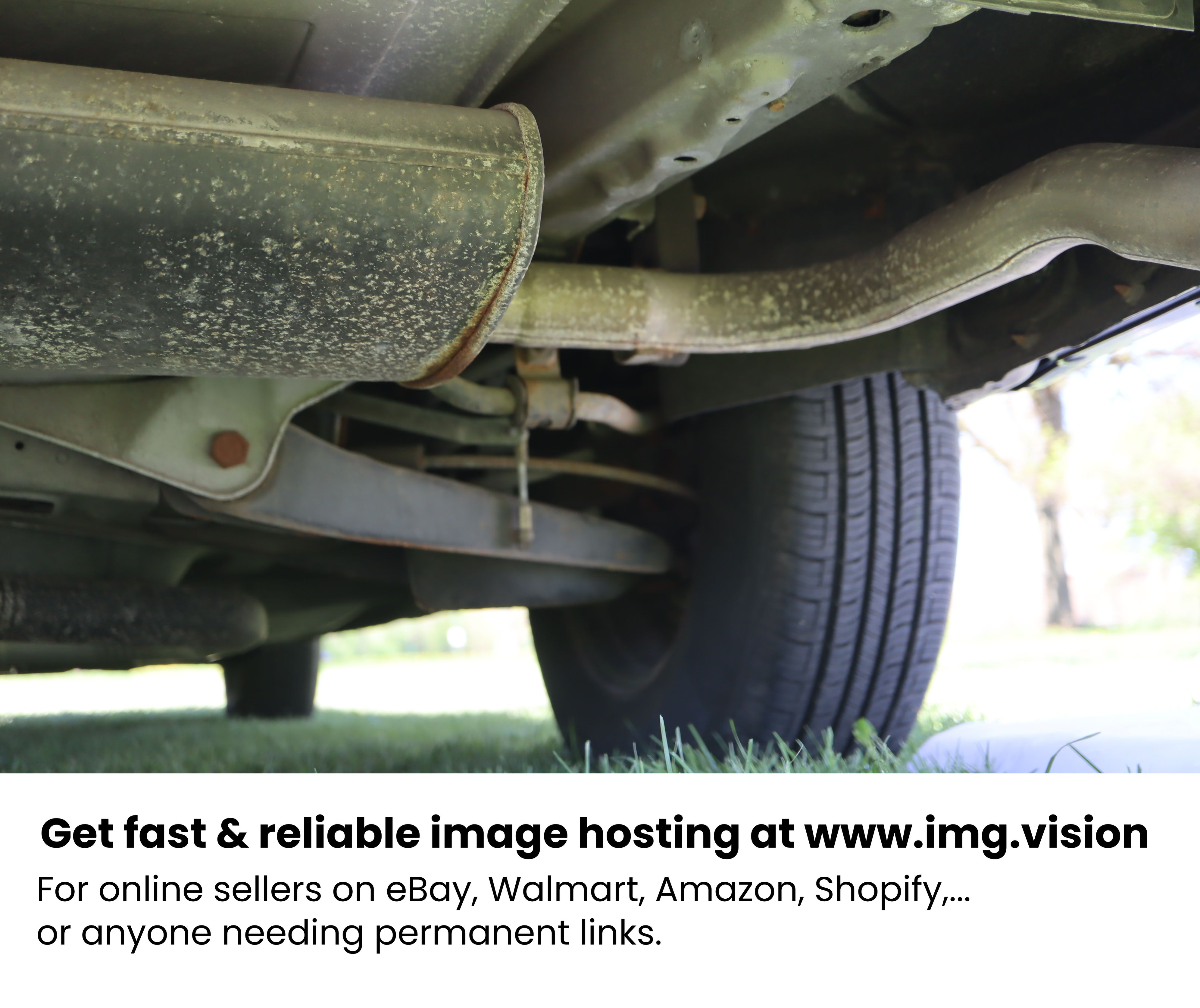 Image hosting by Img.vision