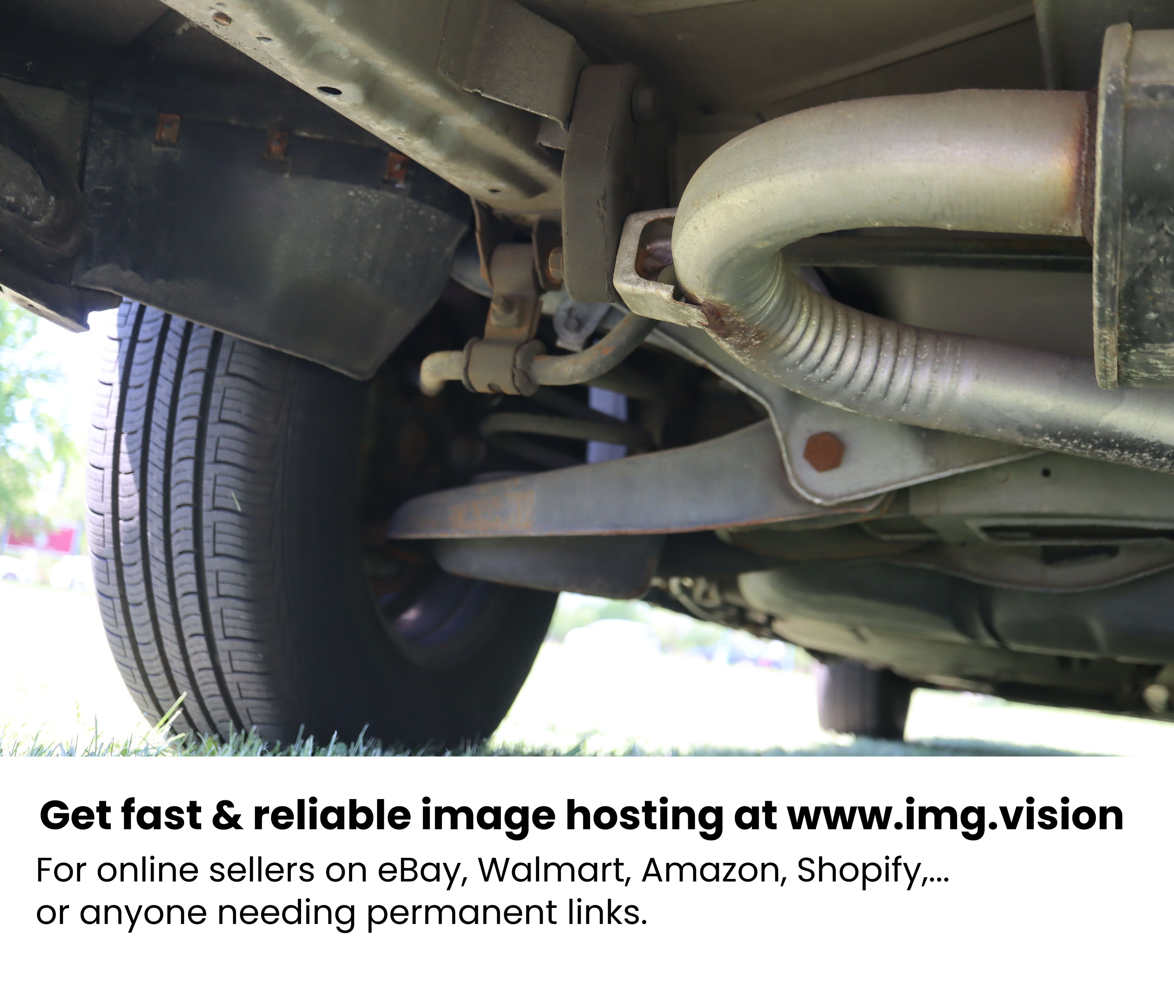 Image hosting by Img.vision